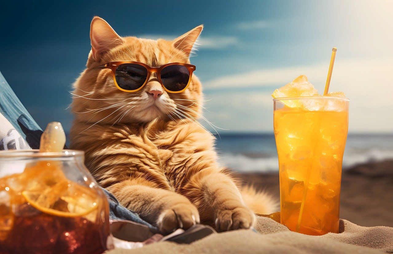 Katzennassfutter getestet