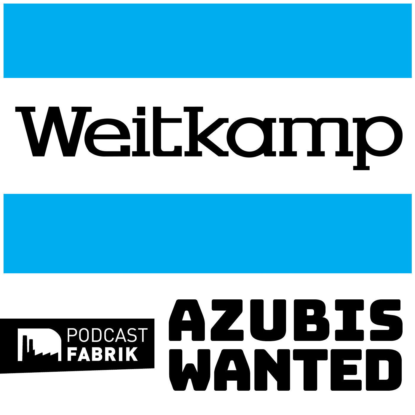 Kfz-Mechatroniker/in