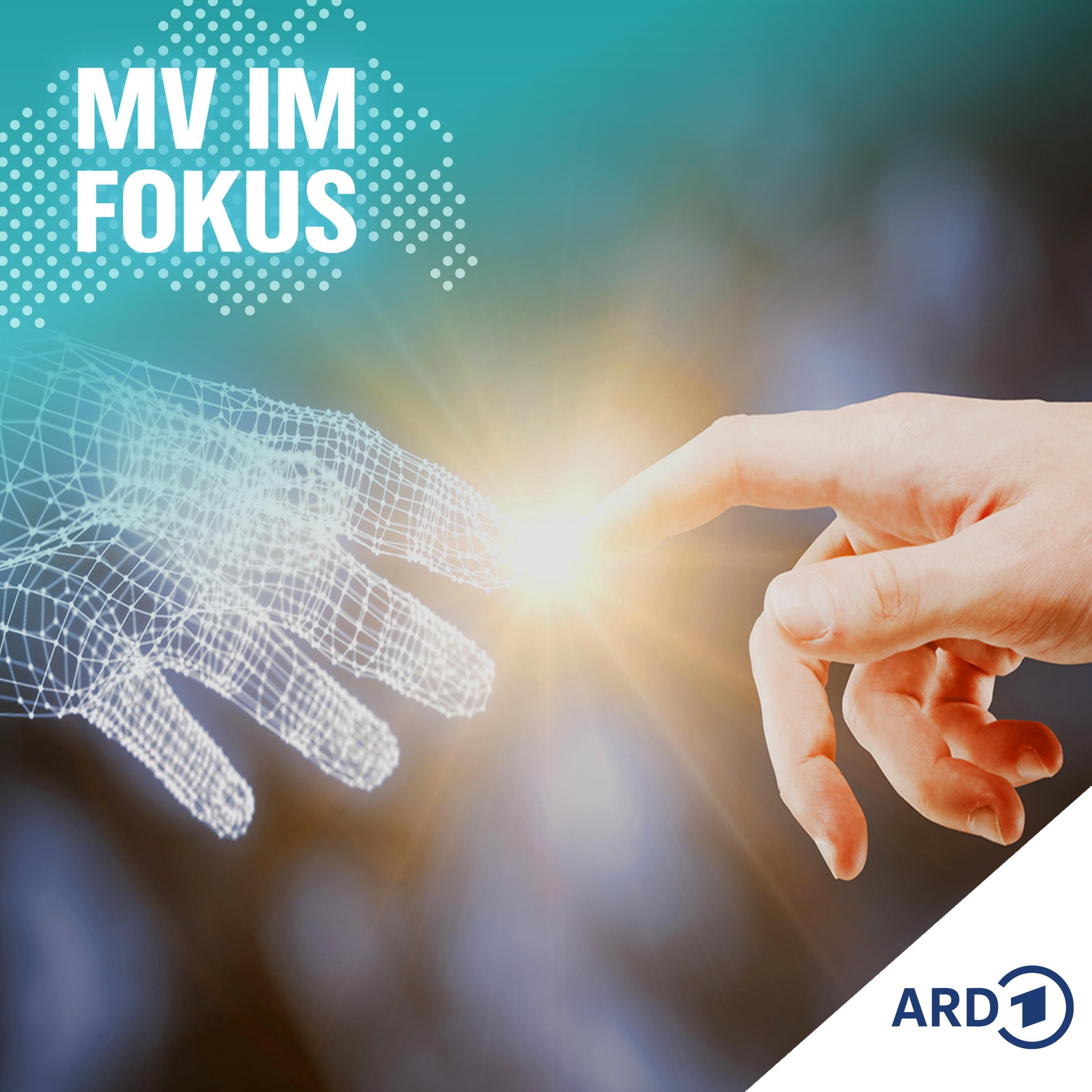 KI - Gefahr oder Hilfe für Jobs in Mecklenburg-Vorpommern?