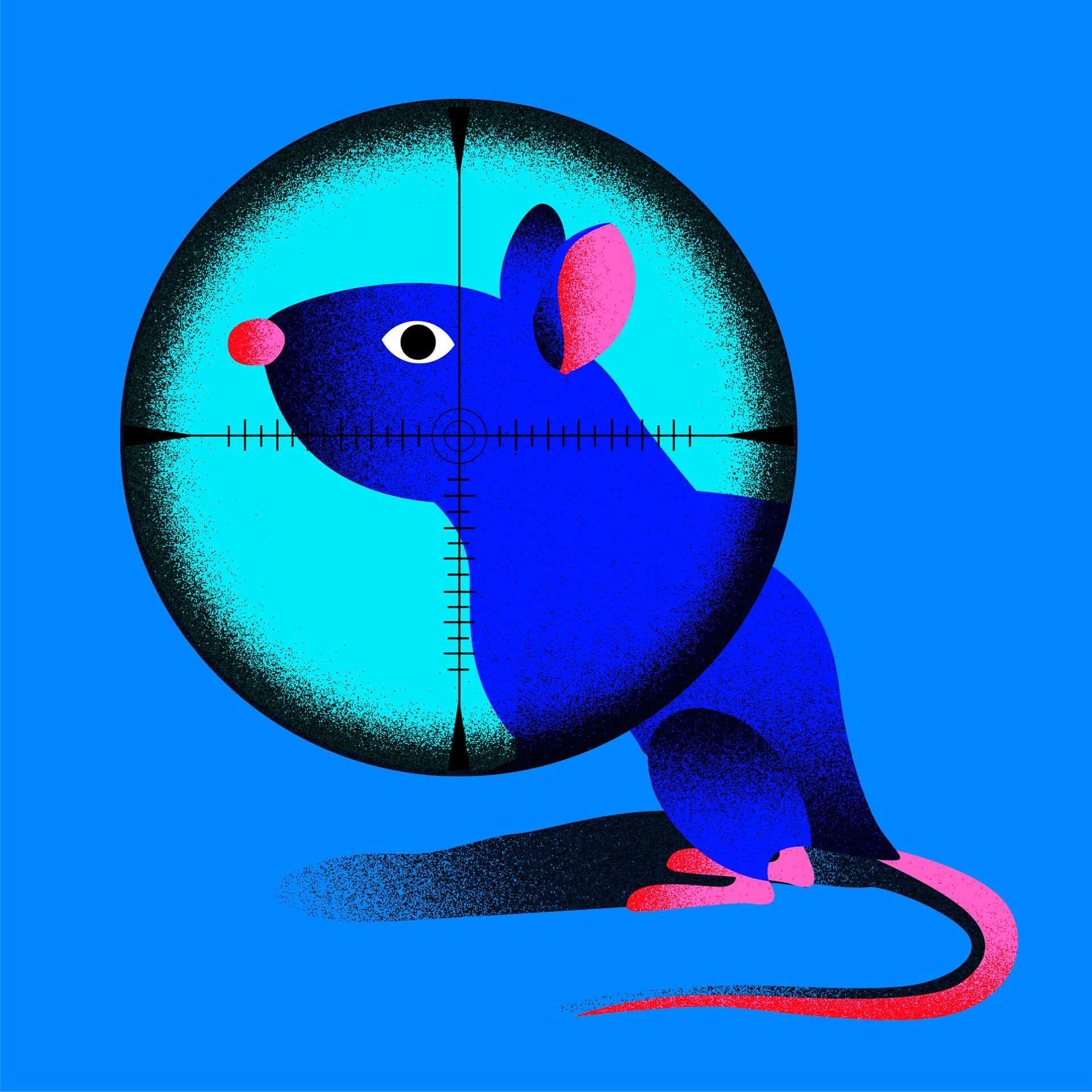 "KI verstehen" empfiehlt - Podcast "Deep Science": Rattenjagd für Vogelschutz