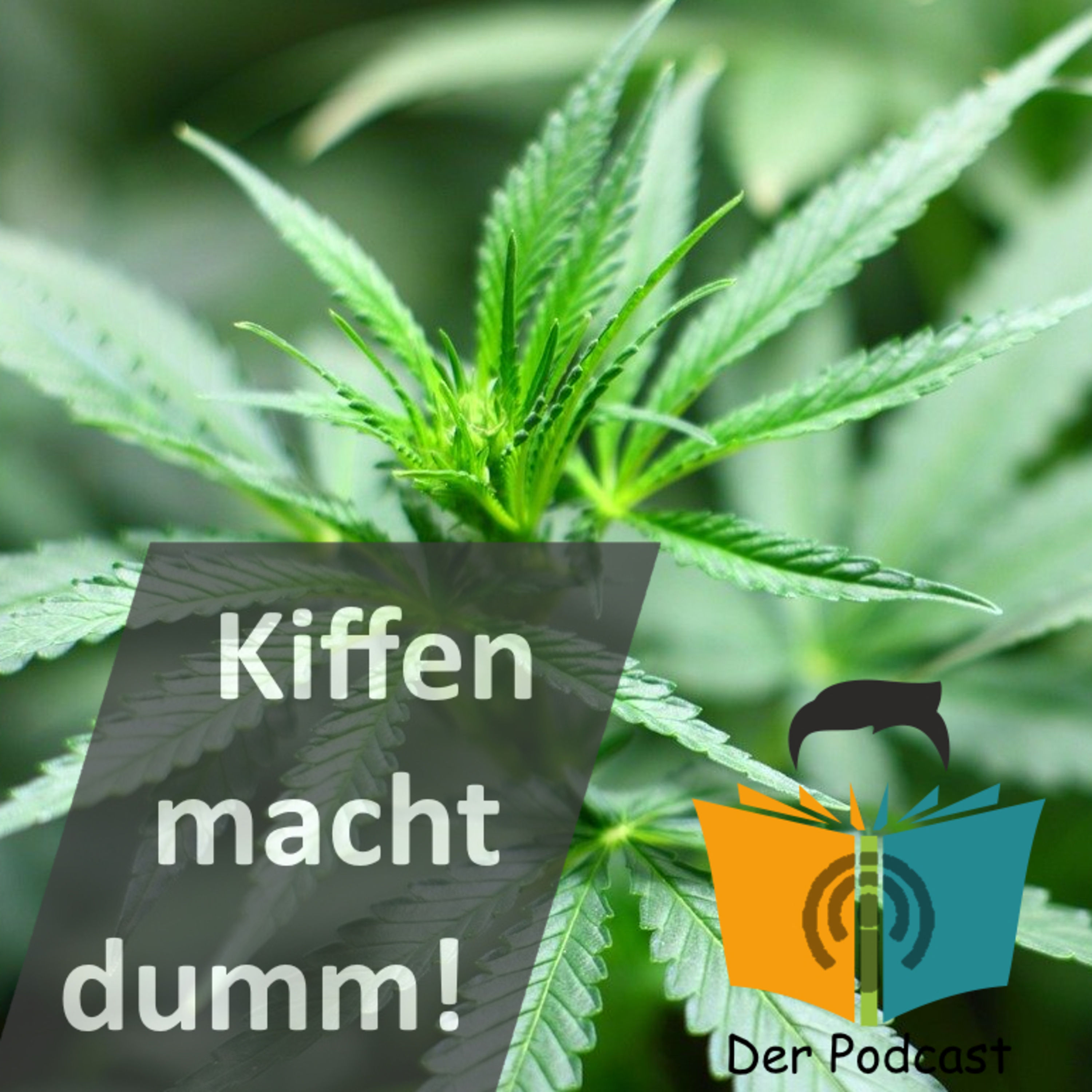 "Kiffen macht dumm!" - IstDasFakt?!