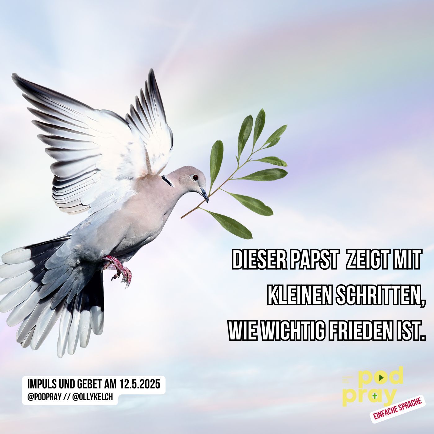 Kleine Schritte zum Frieden (12.5.2025)