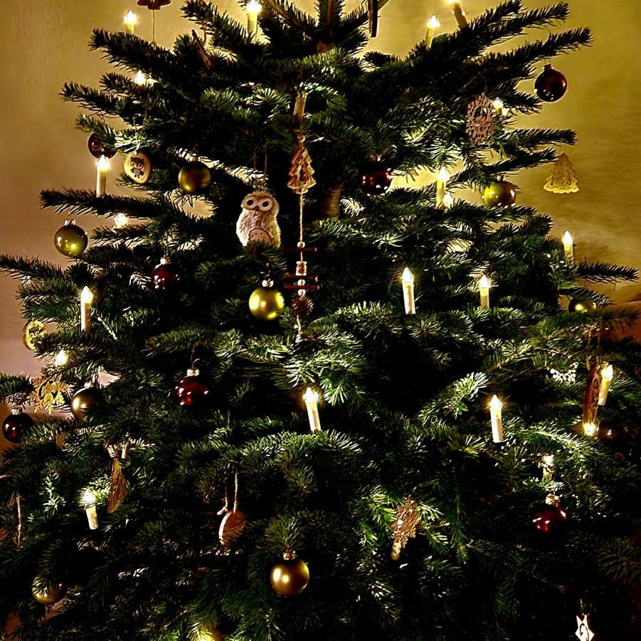Kleines Weihnachtsgeschenk 2023