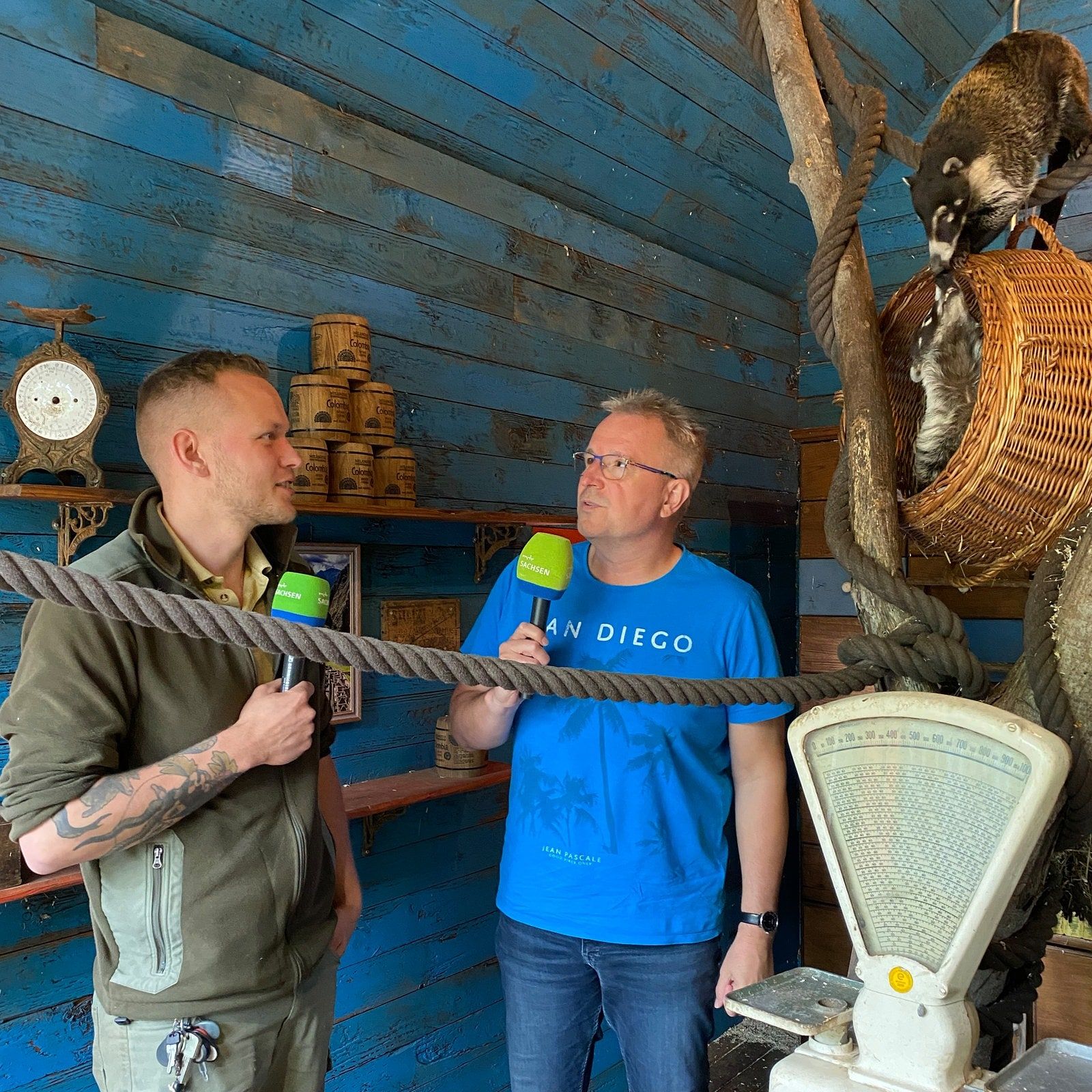 Klettern mit dem Nasenbär