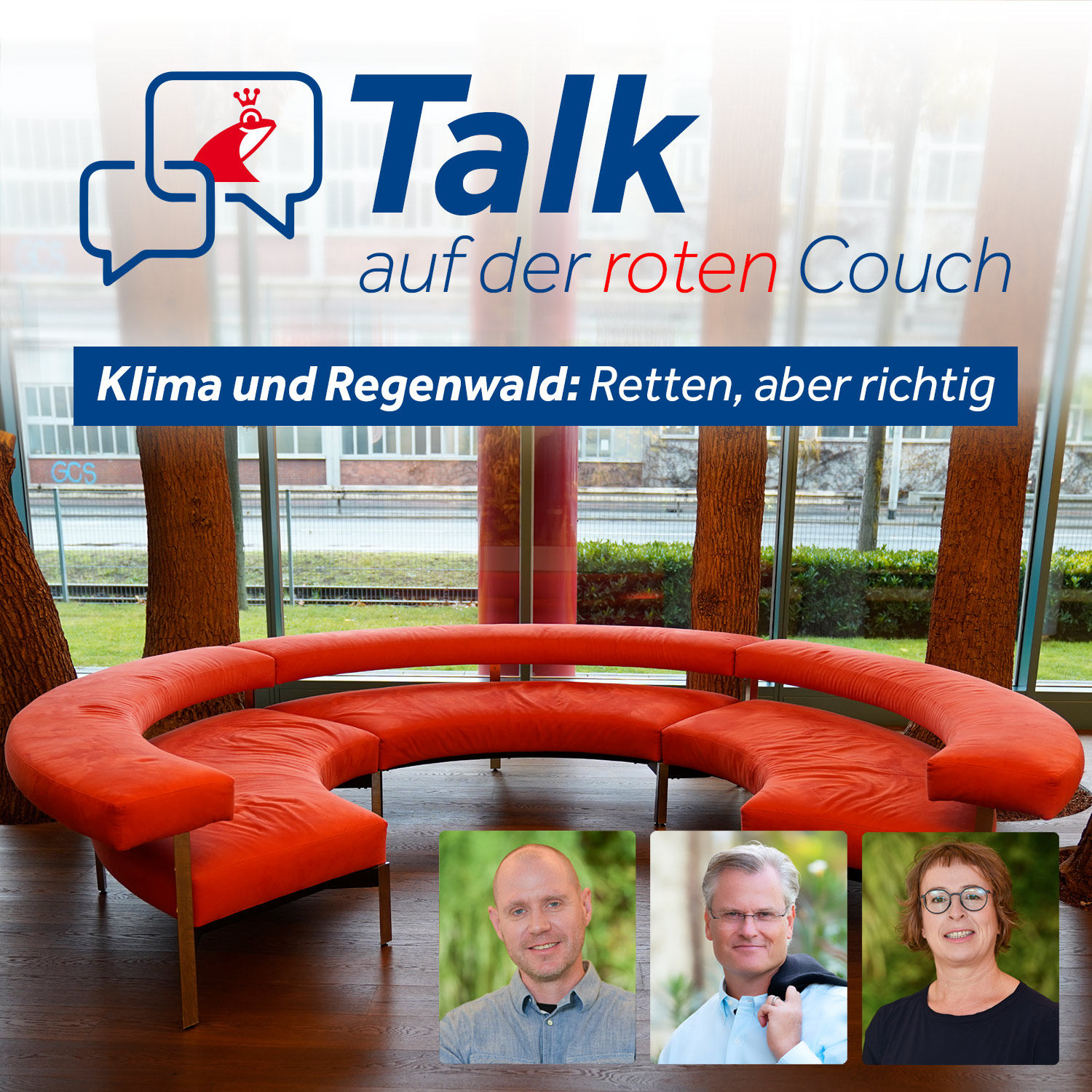 Klima und Regenwald: Retten, aber richtig