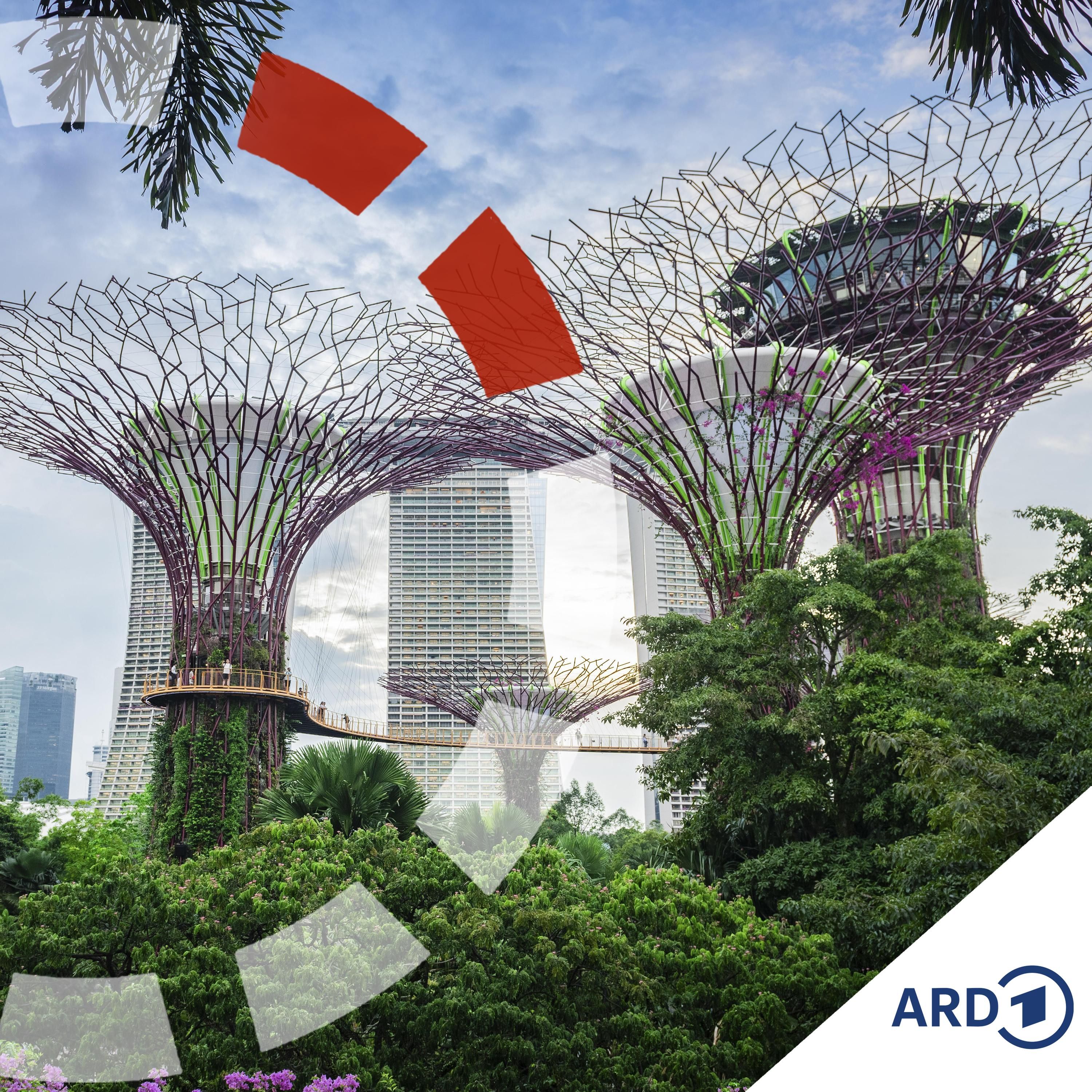 Klimaanpassung - von Singapur lernen