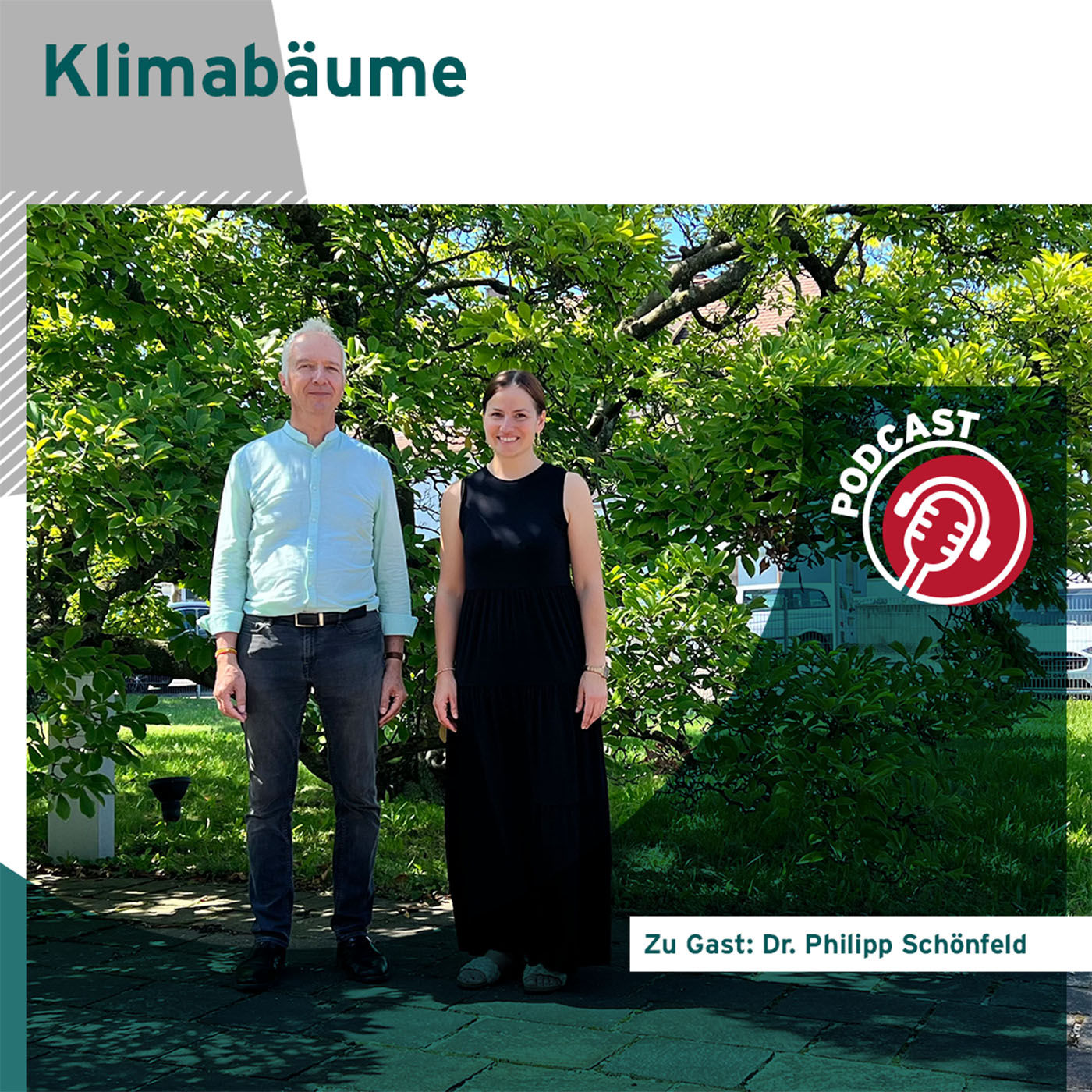 Klimabäume - Interessante Forschungsergebnisse und Empfehlungen für die Auswahl der richtigen Baumart