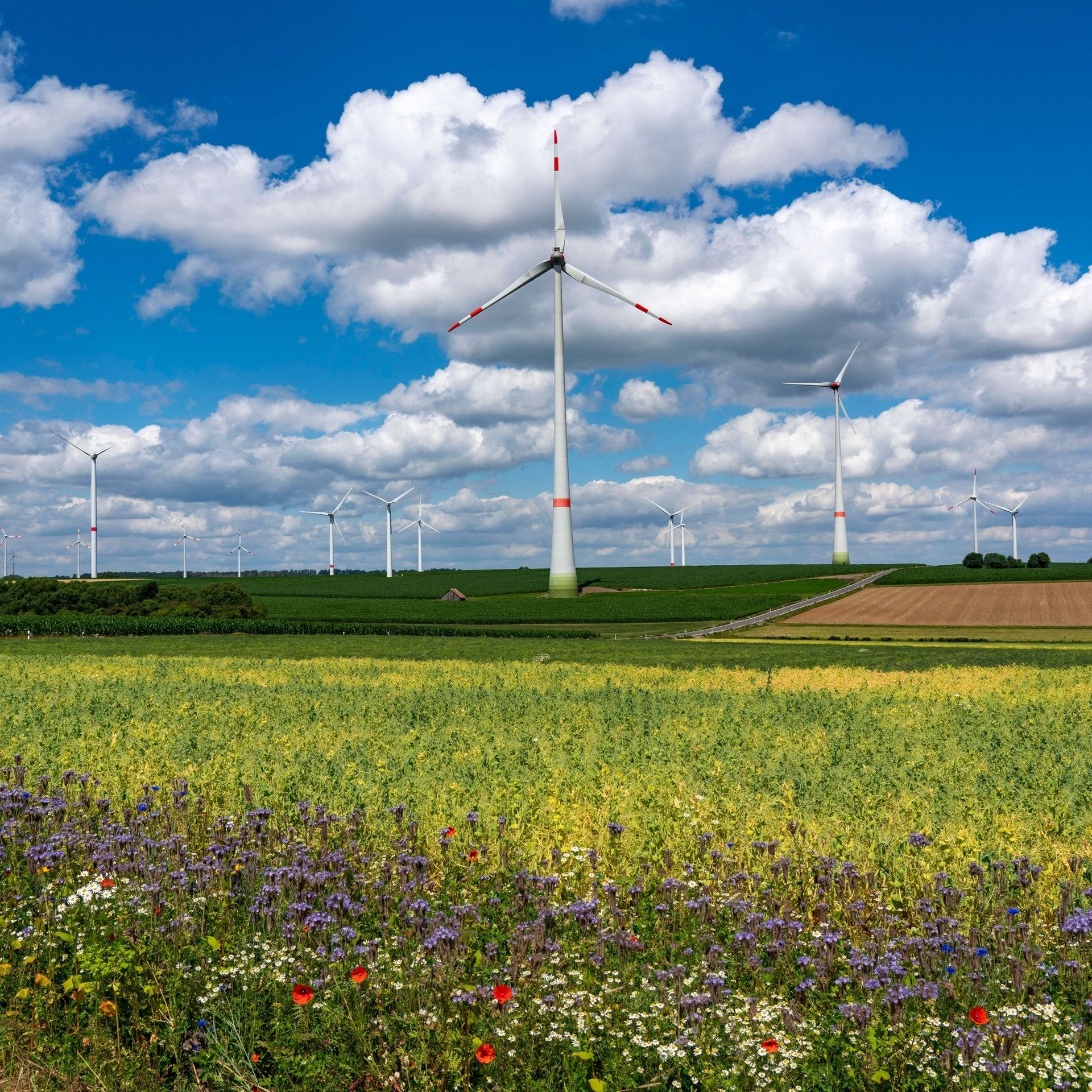 Klimaneutral bis 2030? Wenn ambitionierte Klimaziele unerreichbar werden