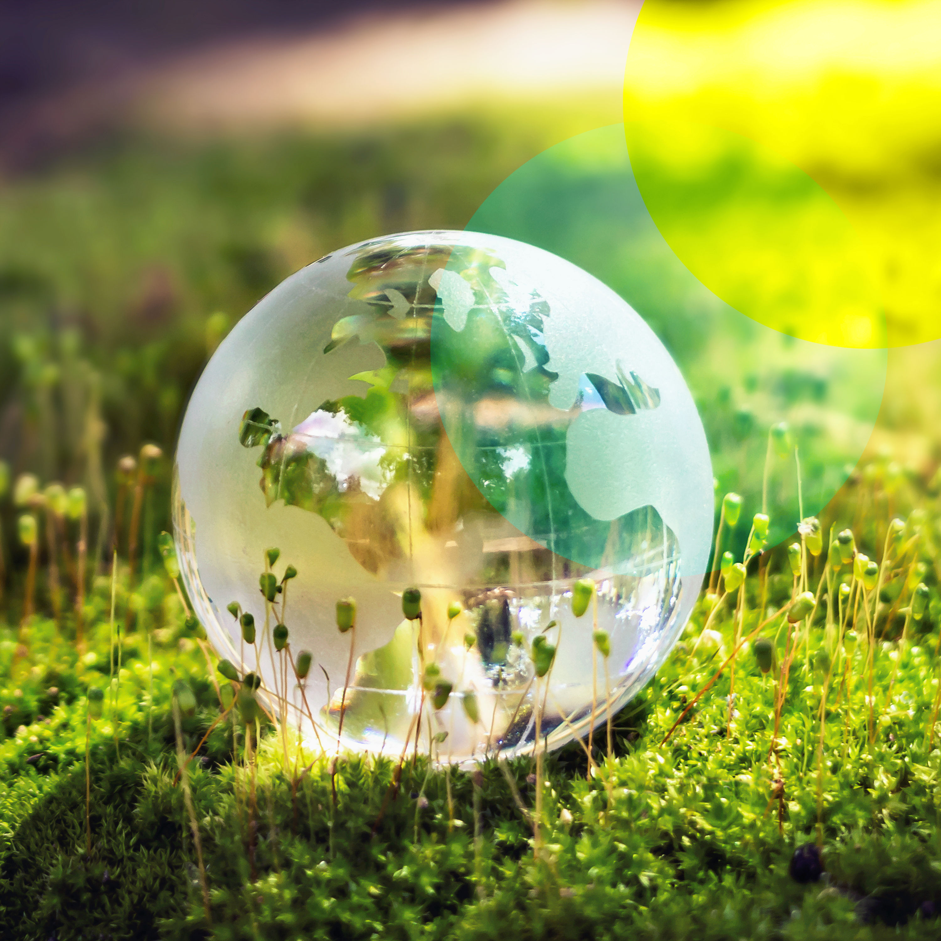 Klimaneutral scheißegal? Was wir noch erreichen können