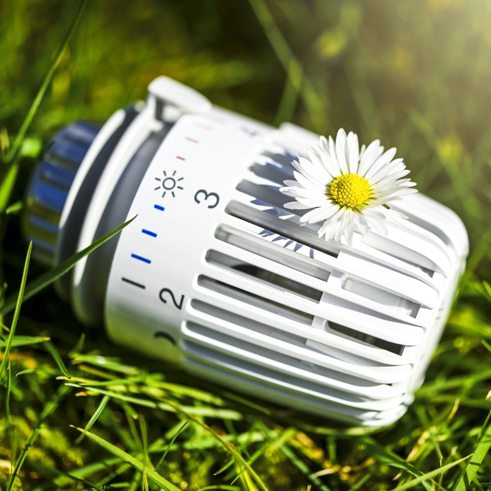 Klimaneutrales Heizen: Sachsen-Anhalt ist führend