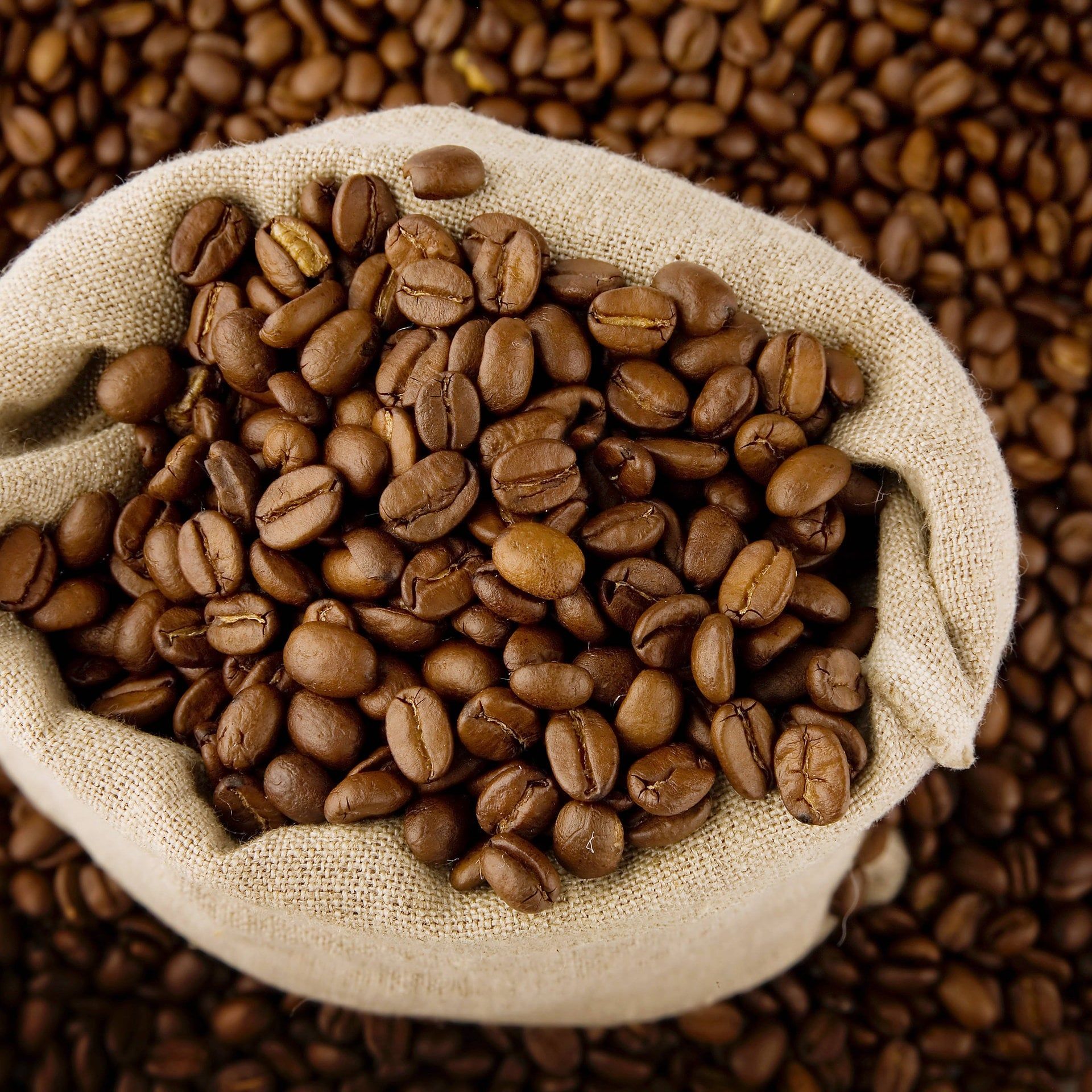 Klimaresistente Kaffeesorten: Die Zukunft des Kaffees