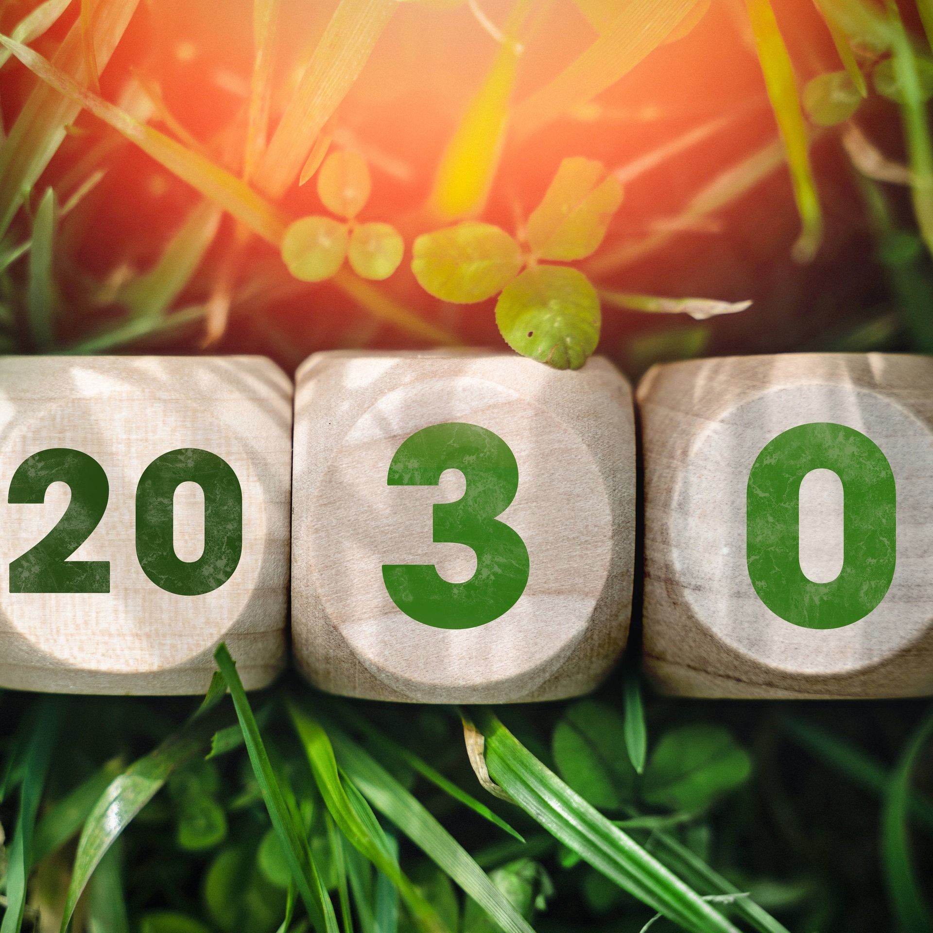 Klimaschutzgesetz und Klimaschutzprogramm - was ist das?