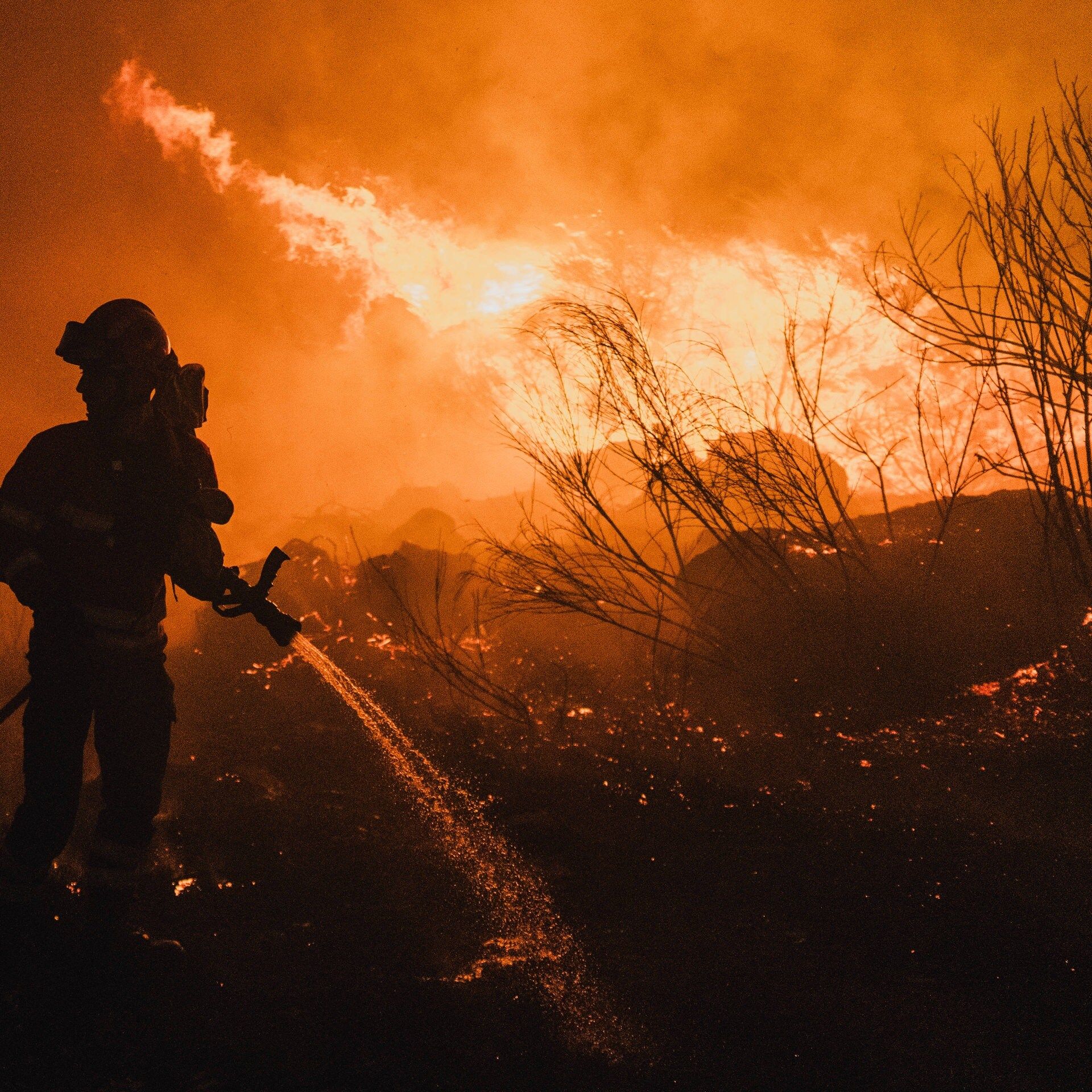 Klimawandel befeuerte Waldbrände in Spanien und Portugal