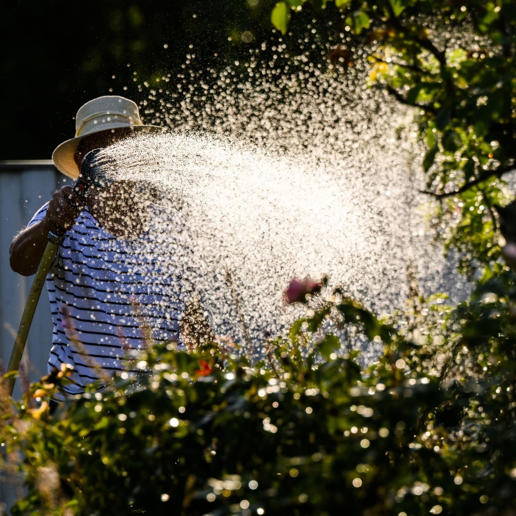 Klimawandel im Garten - so pflanzt man für extreme Bedingungen
