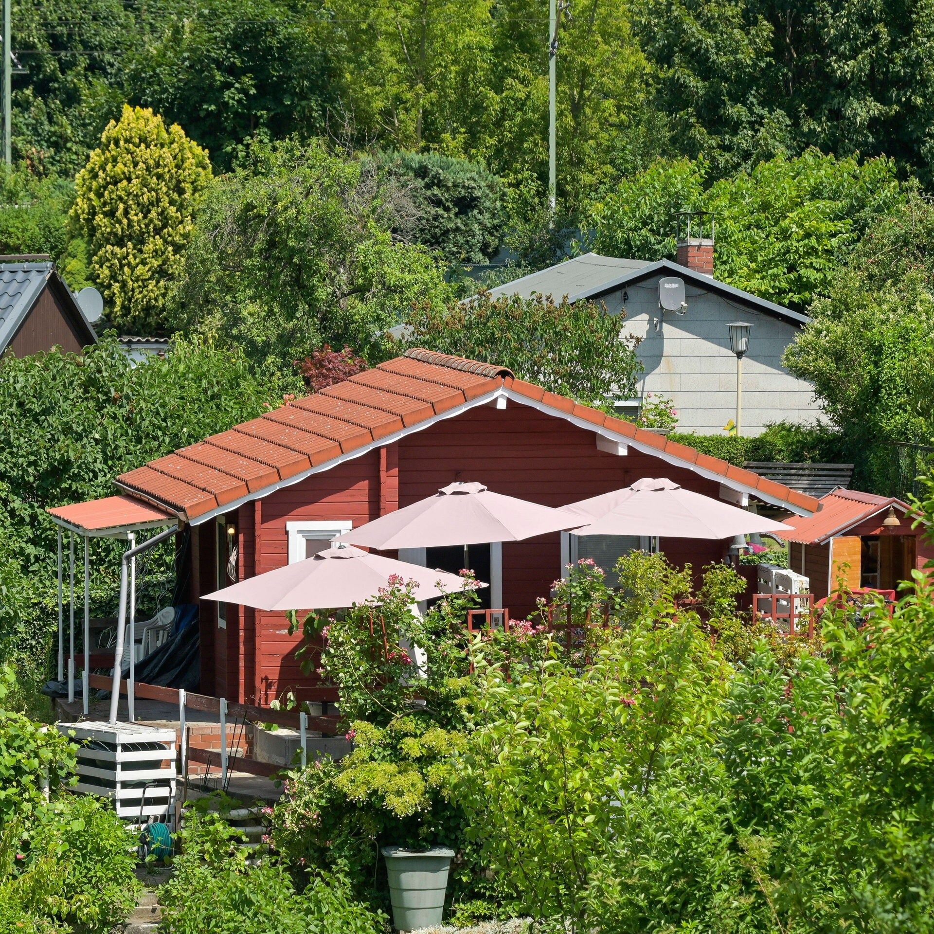 Klimawandel im Kleingarten