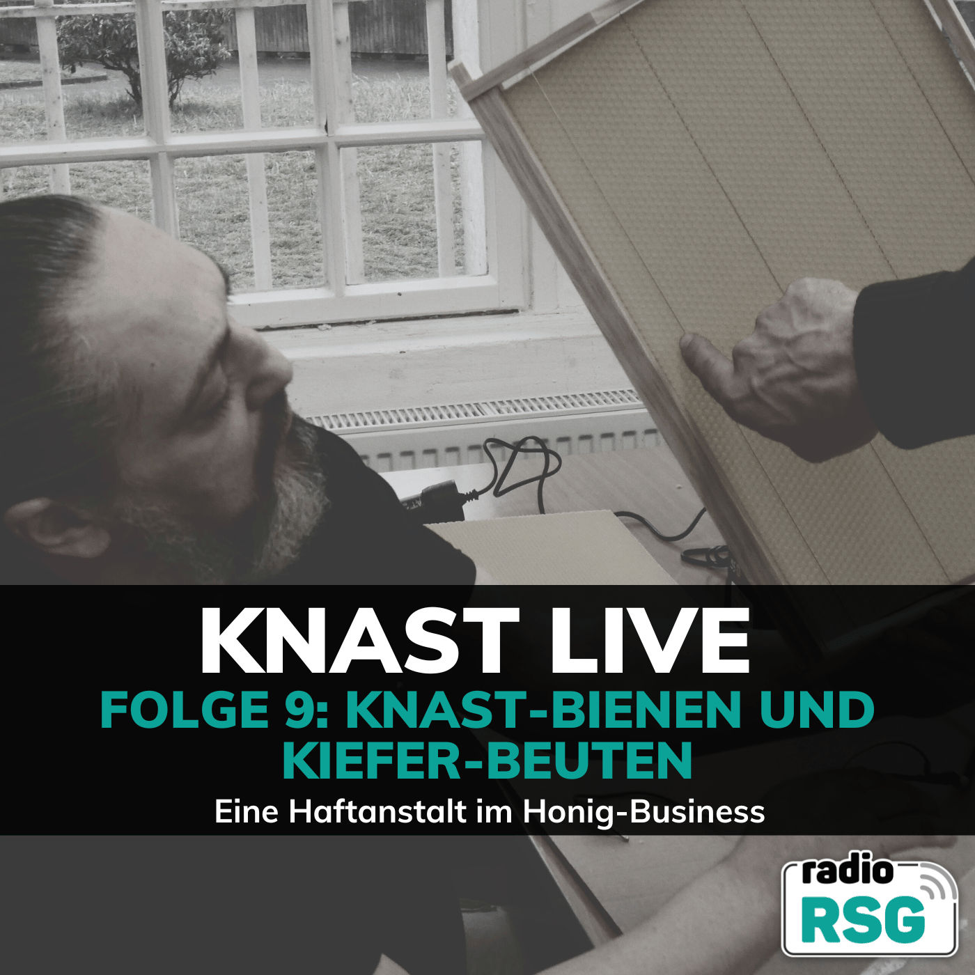 Knast-Bienen und Kiefer-Beuten / Eine Haftanstalt holzt im Honig-Business
