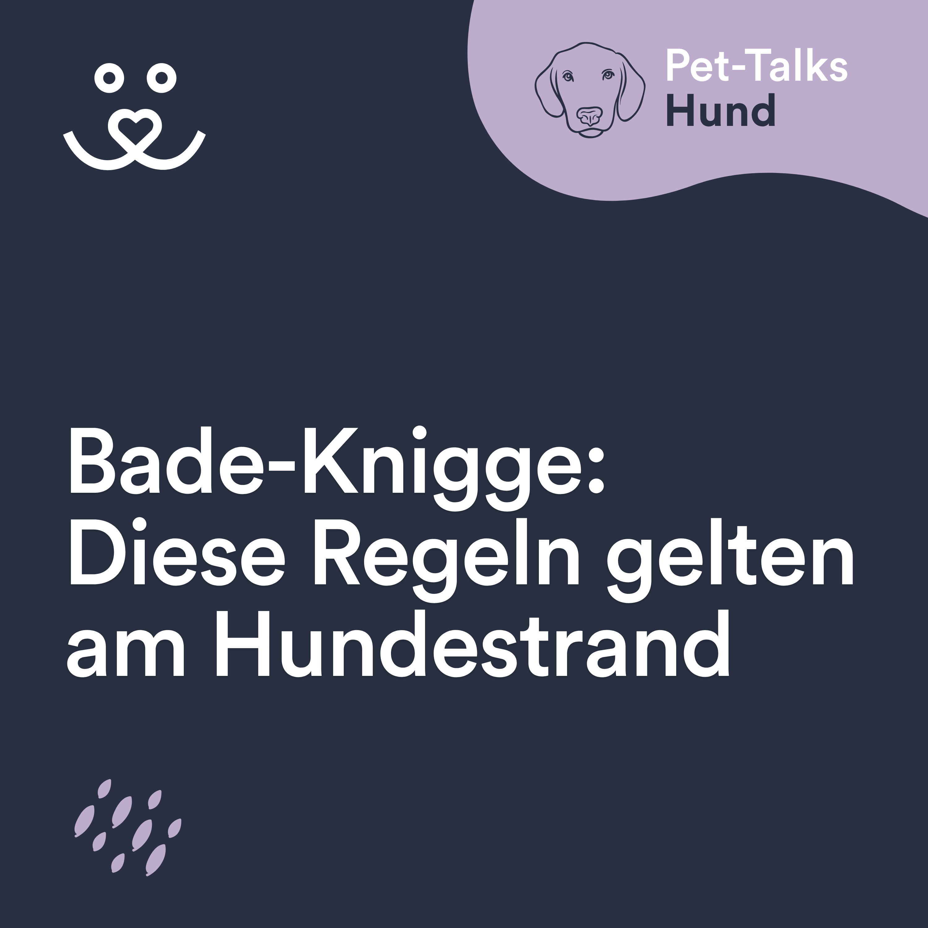 Knigge für den Hundestrand: Auf diese Regeln musst Du achten