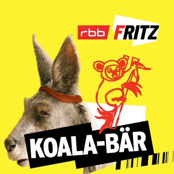 Koala-Bär