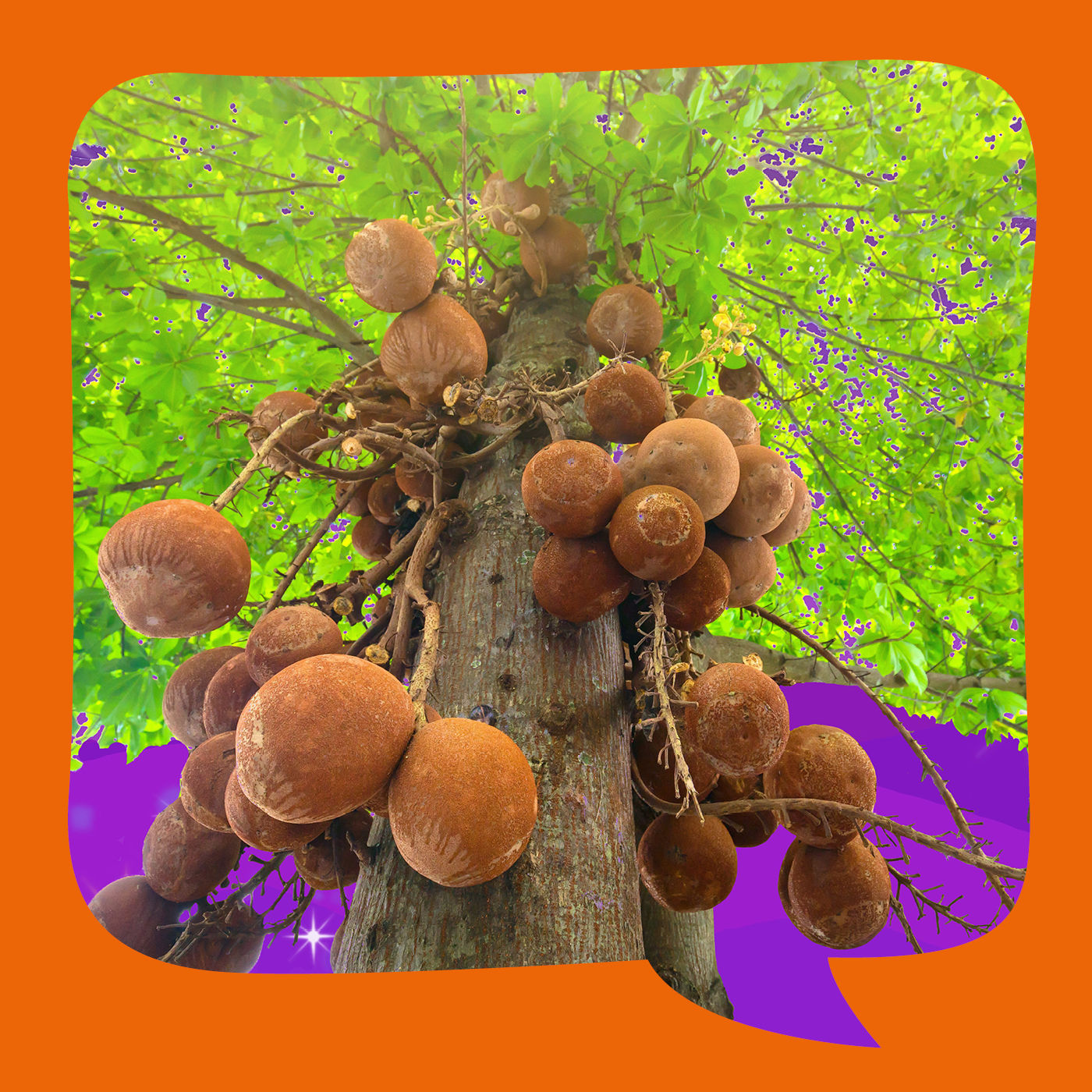 König Brahmadattas Traum | Märchen aus Indien | ab 8 | erzählt von Reiner Müller