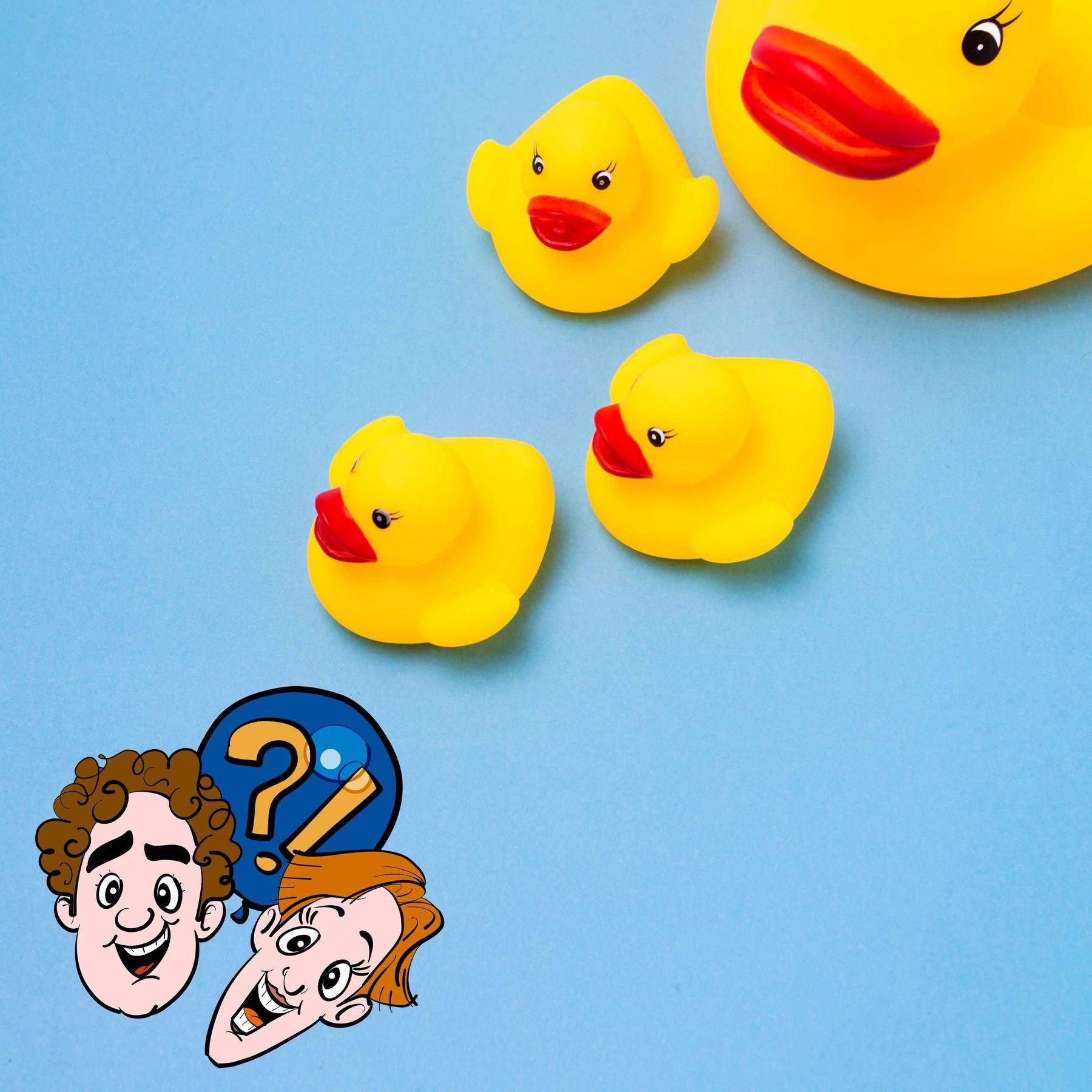 Können Enten Gummi-Enten von ihren Artgenossen unterscheiden?
