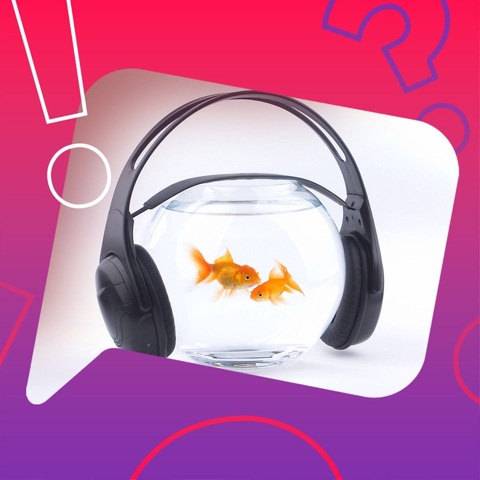 Können Fische Musik hören?