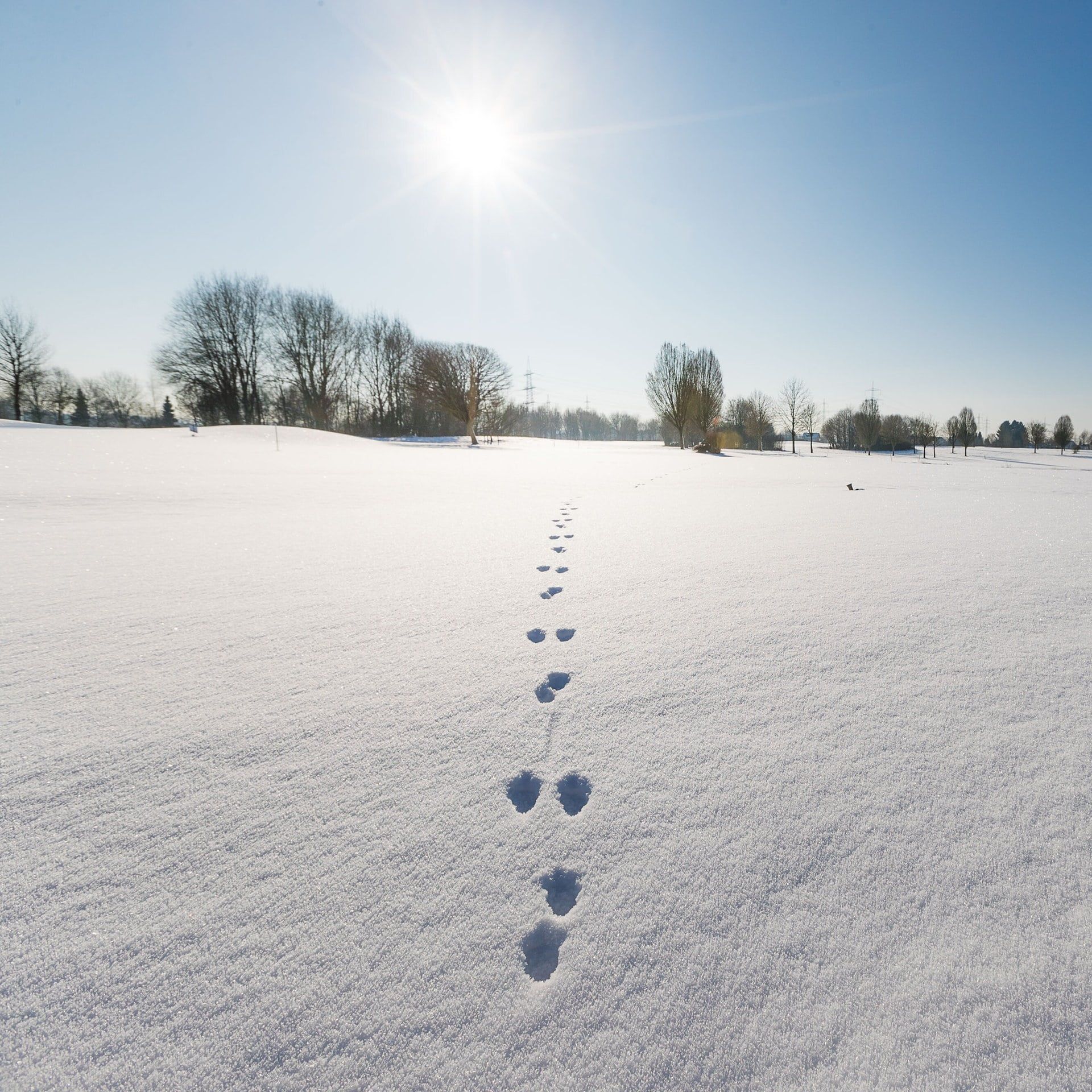 Können Meteorologen einen Jahrhundert-Winter vorhersagen?