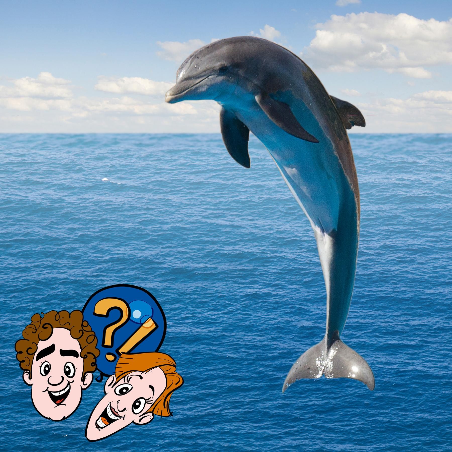 Können schwangere Delfine aus dem Wasser springen?