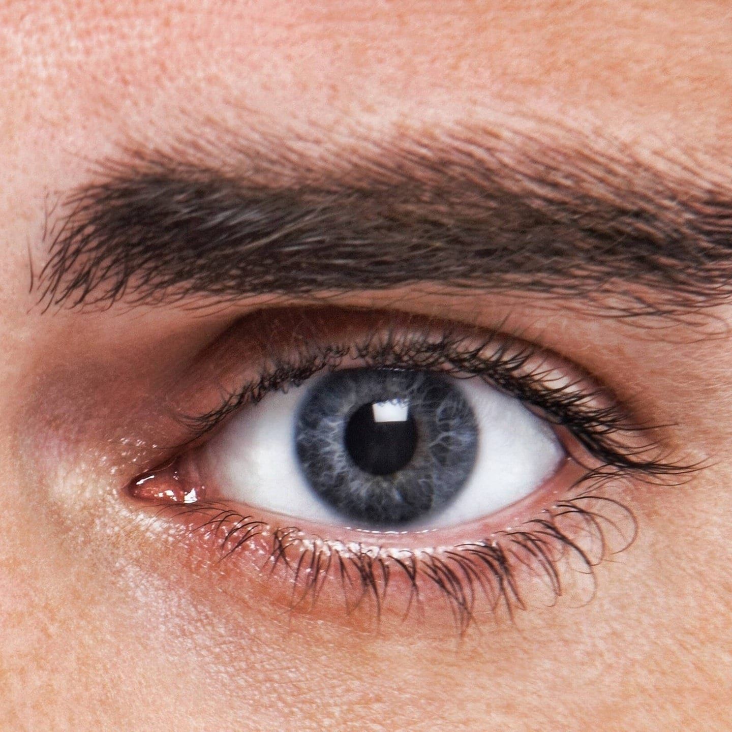 Können Wimpern wachsen?