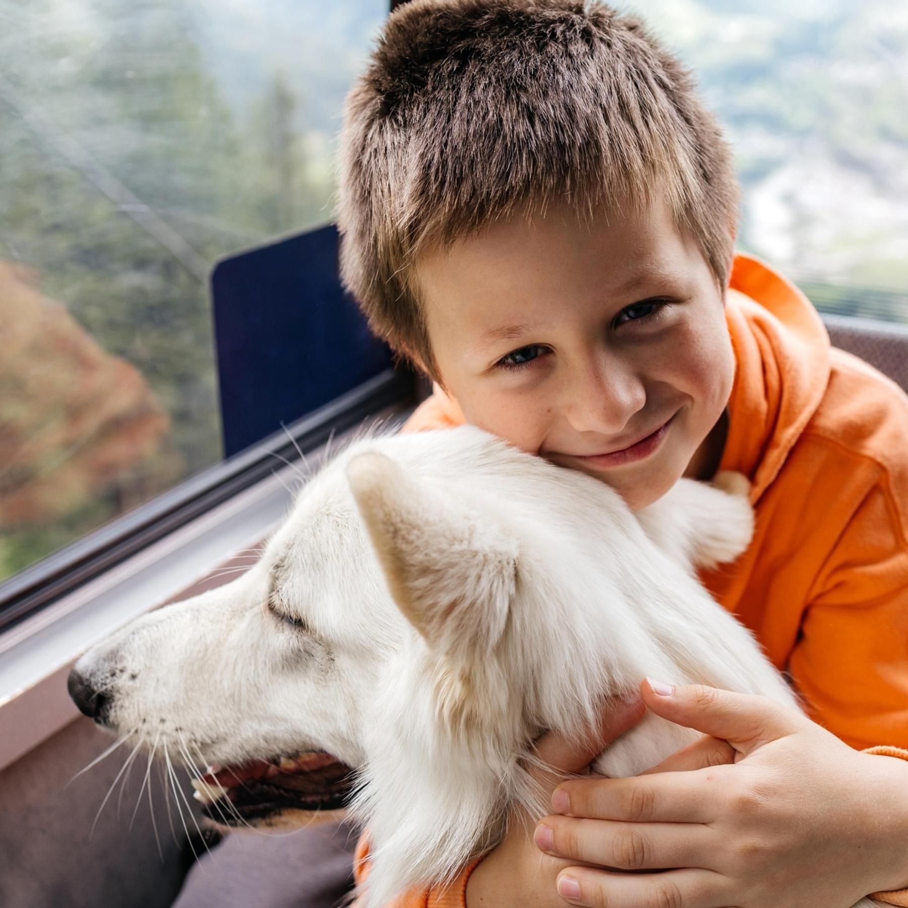 Können wir Tiere bald besser verstehen? - Hund, Katze, Maki | Doggolingo