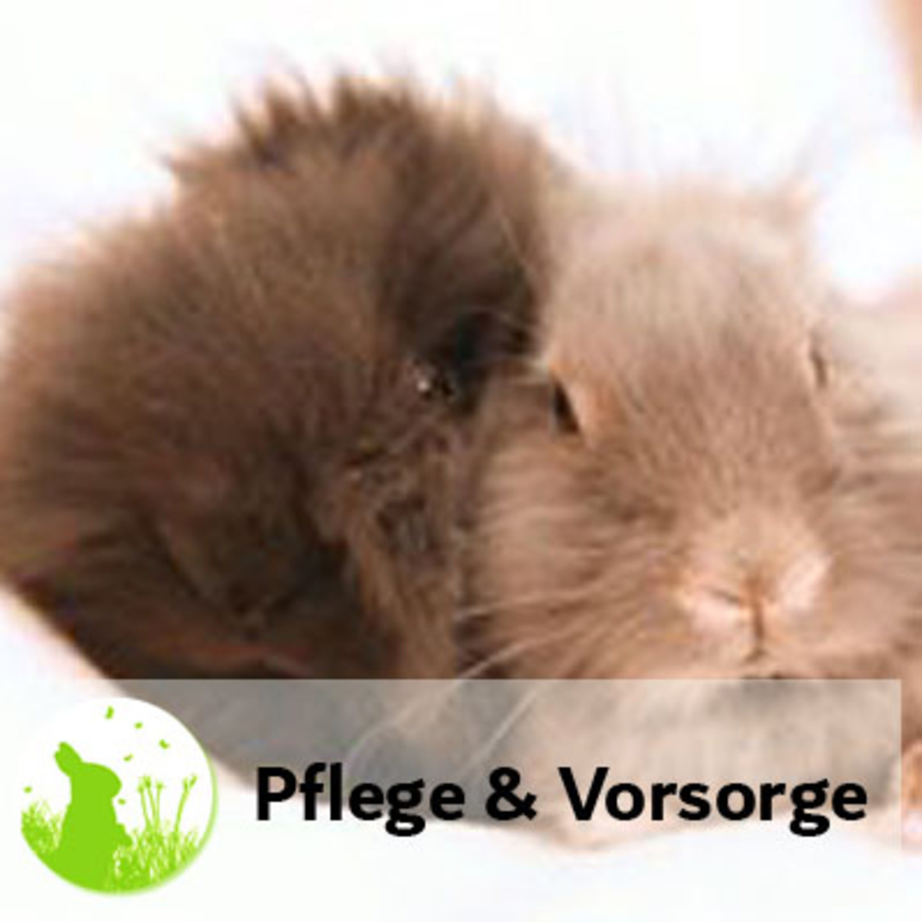 Körperpflege und Vorsorgeuntersuchungen