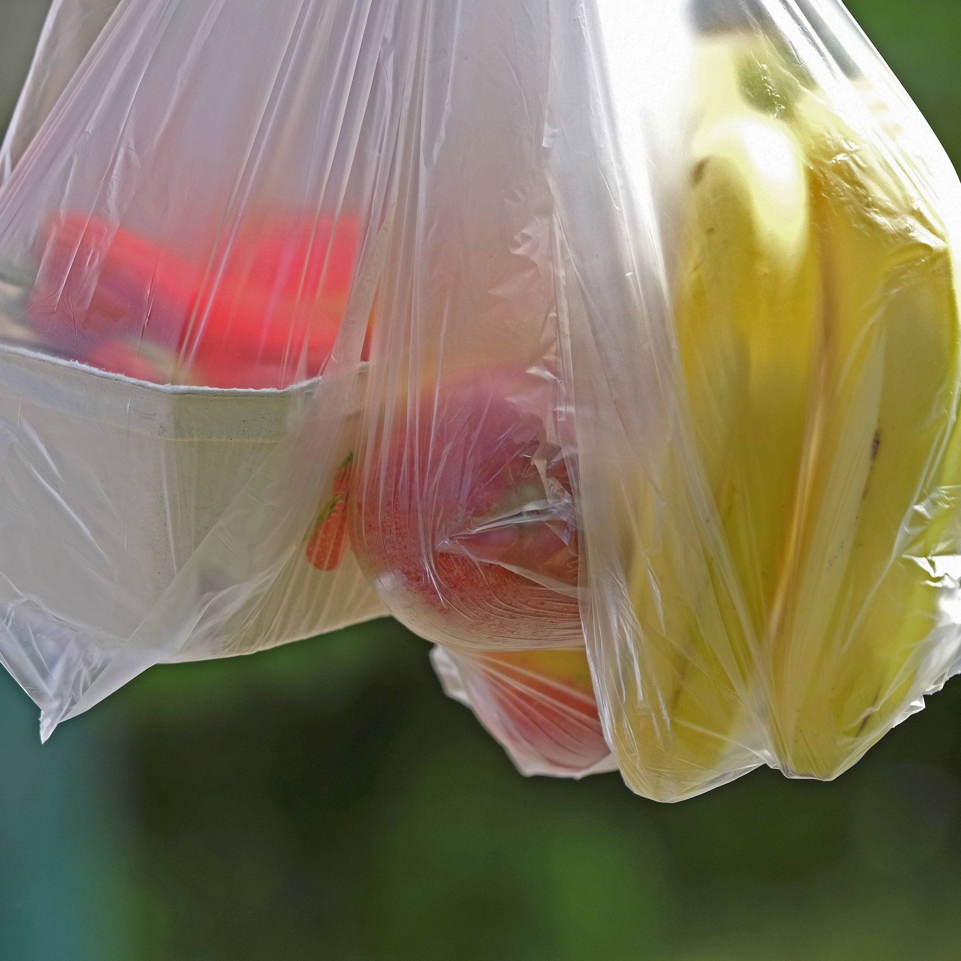 Kommt nicht in die Tüte: Fünf Jahre nach dem Plastiktüten-Aus