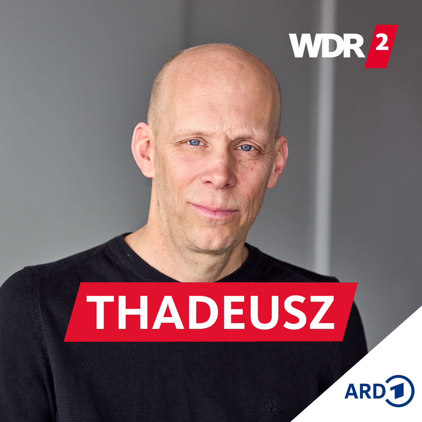 Konstantin Richter, Journalist und Autor