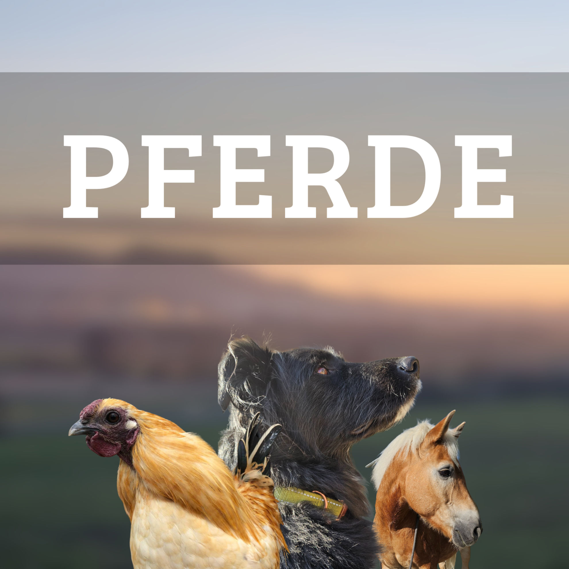 Koppelwendys mit Michelle & Pia