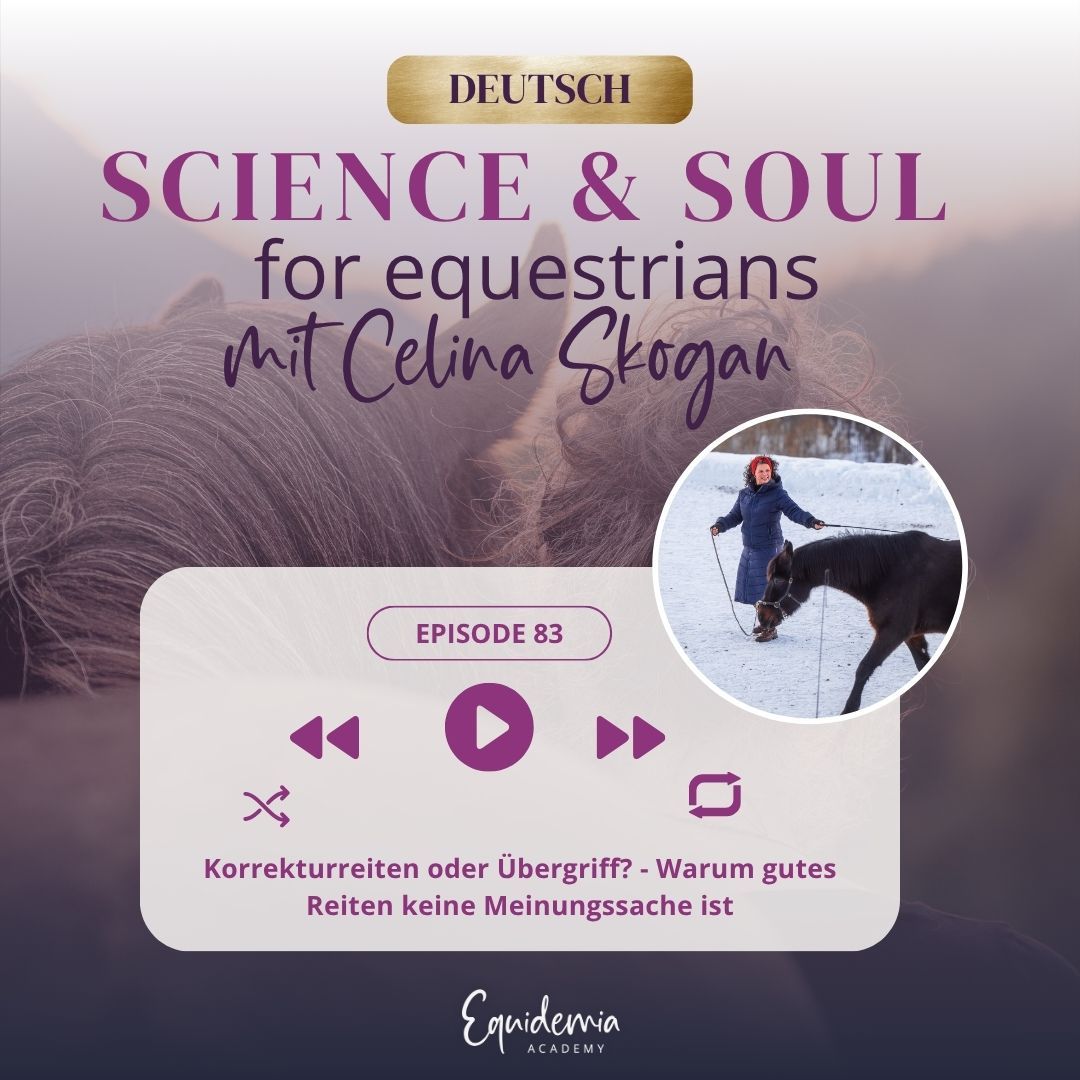 Korrekturreiten oder Übergriff? - Warum gutes Reiten keine Meinungssache ist