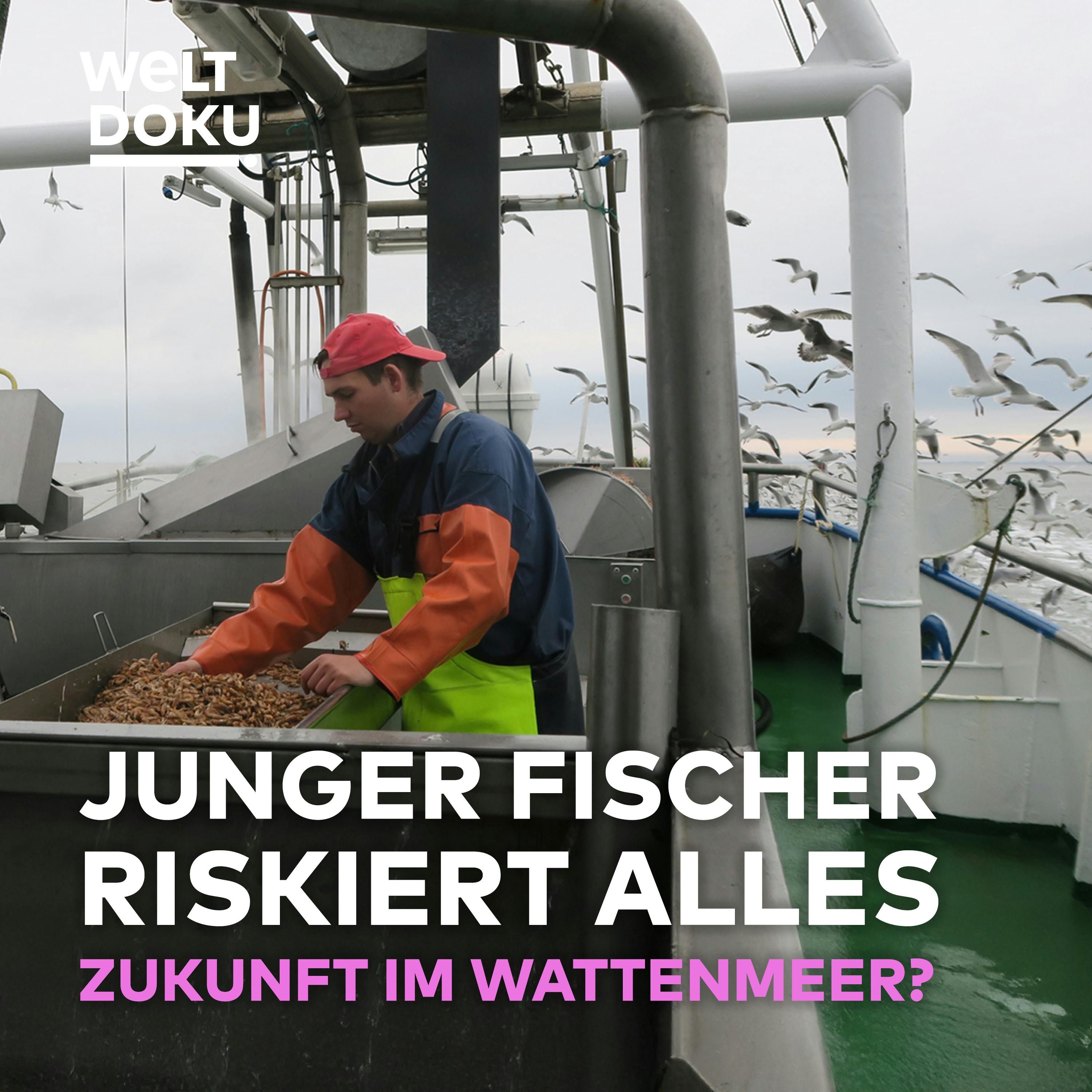 Krabbenfang, Klimawandel, Kredit: Ein junger Fischer riskiert alles