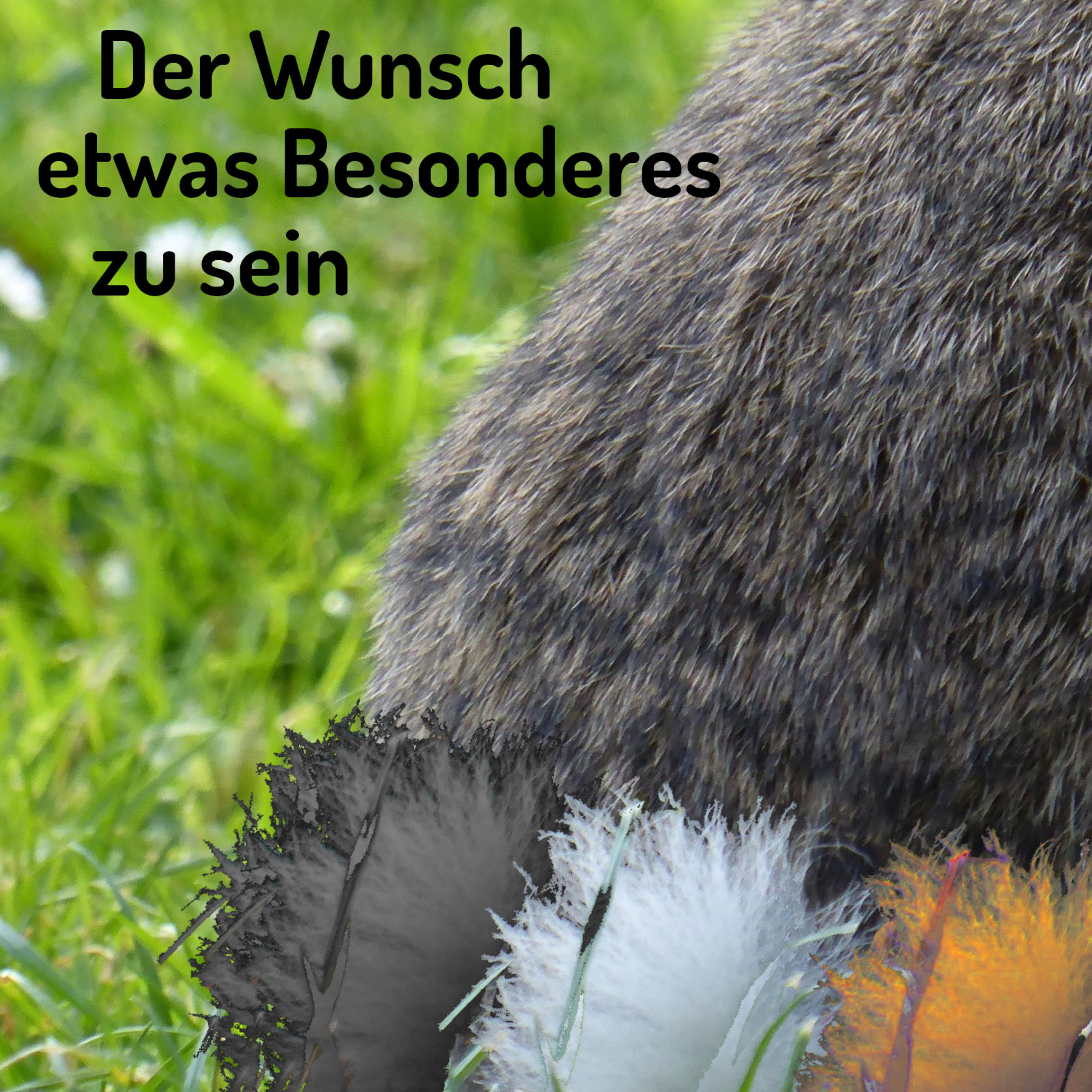 Kranikkel - Der Wunsch etwas Besonderes zu sein