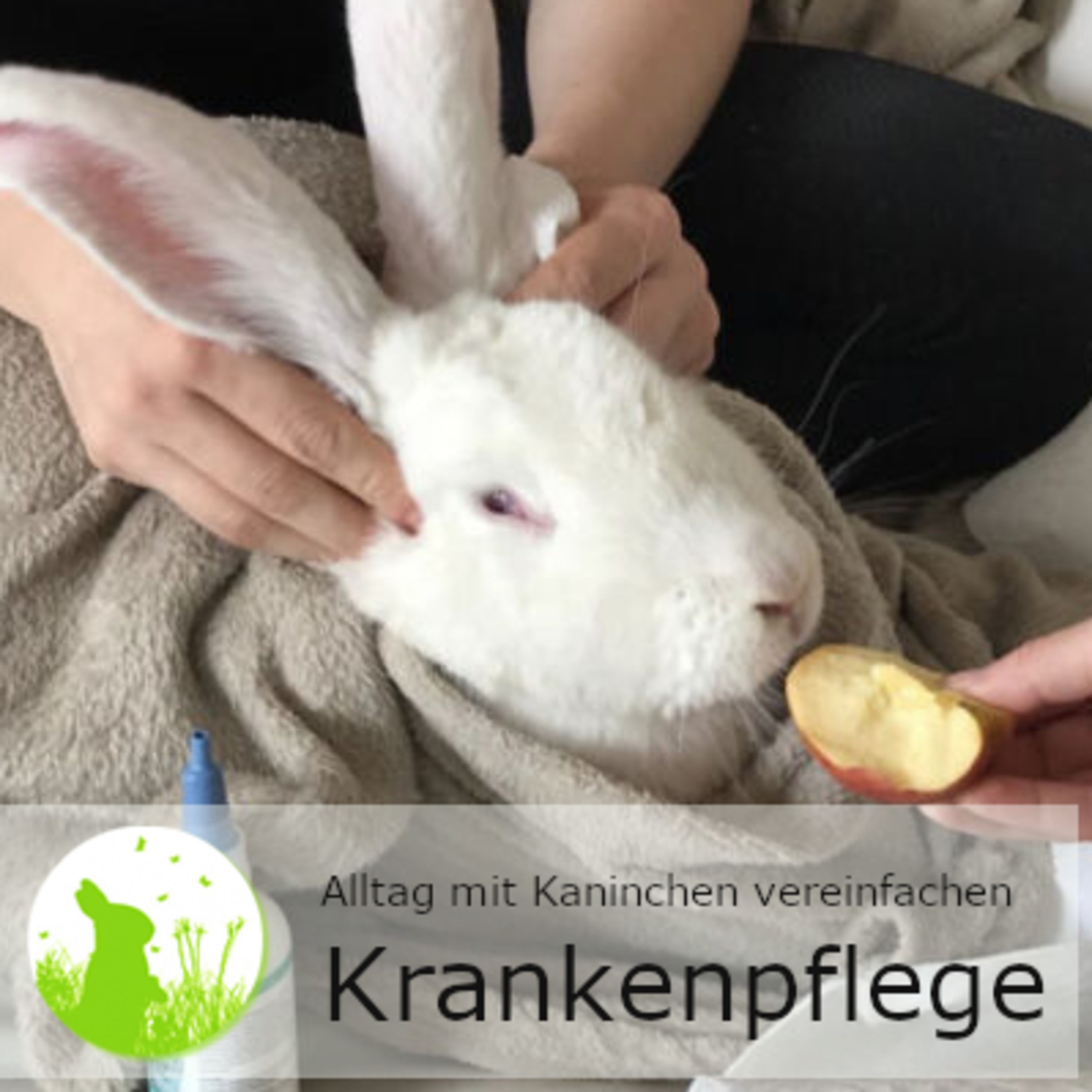 Krankenpflege vereinfachen - mach dir den Alltag leichter!