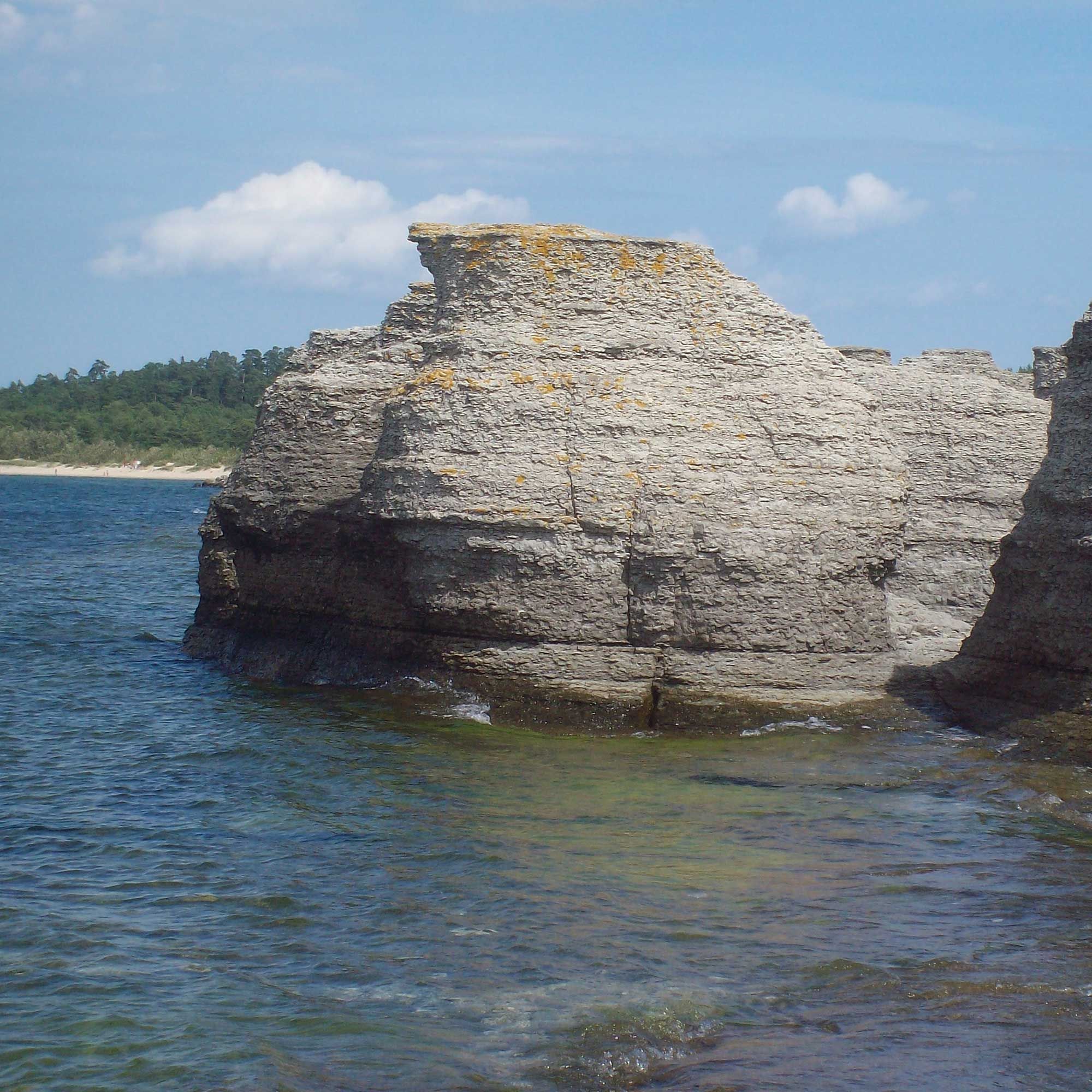 Kraxelfelsen und Wunderblumen