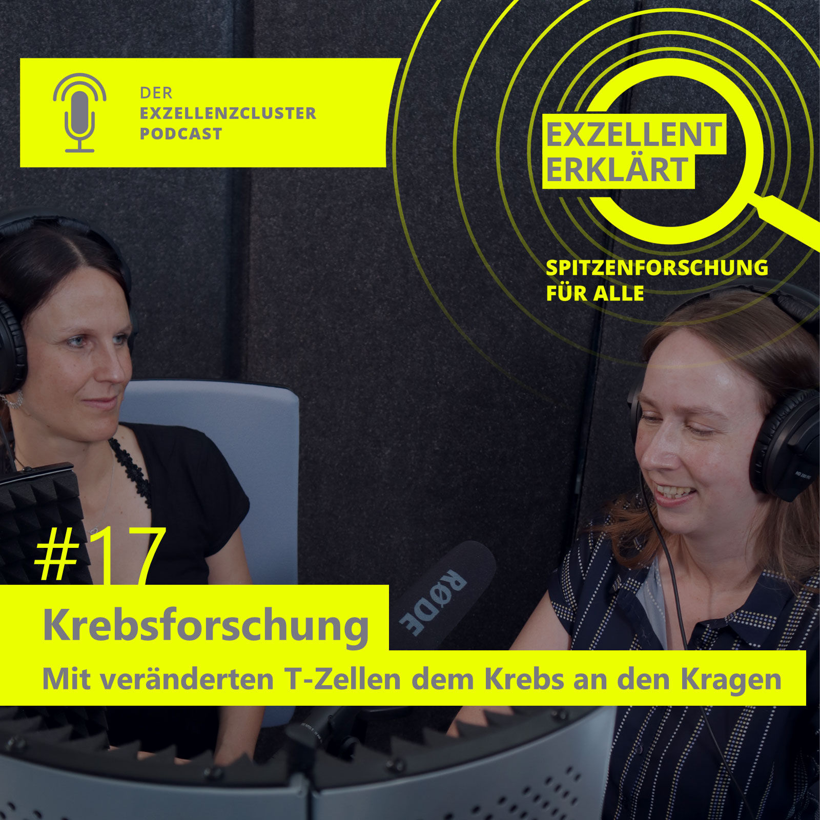 Krebsforschung - Mit veränderten T-Zellen dem Krebs an den Kragen