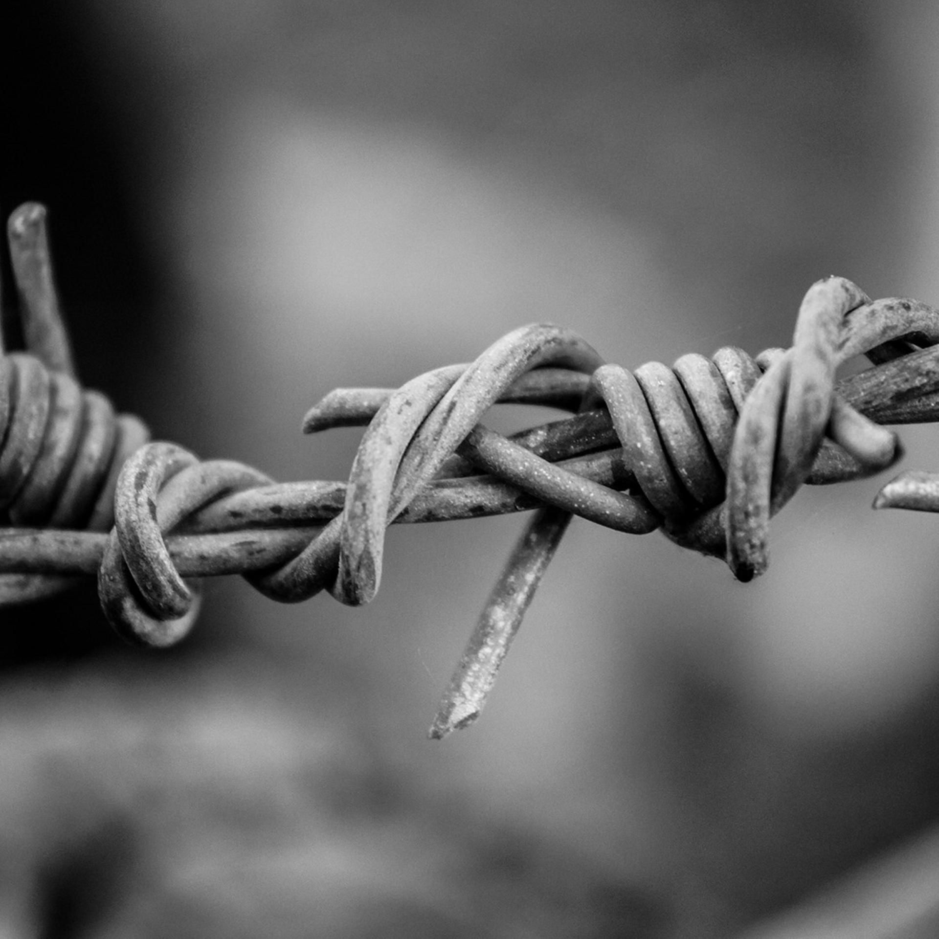 Krimi-Hörspiel: Desertion und Verrat - Mord im Kopf