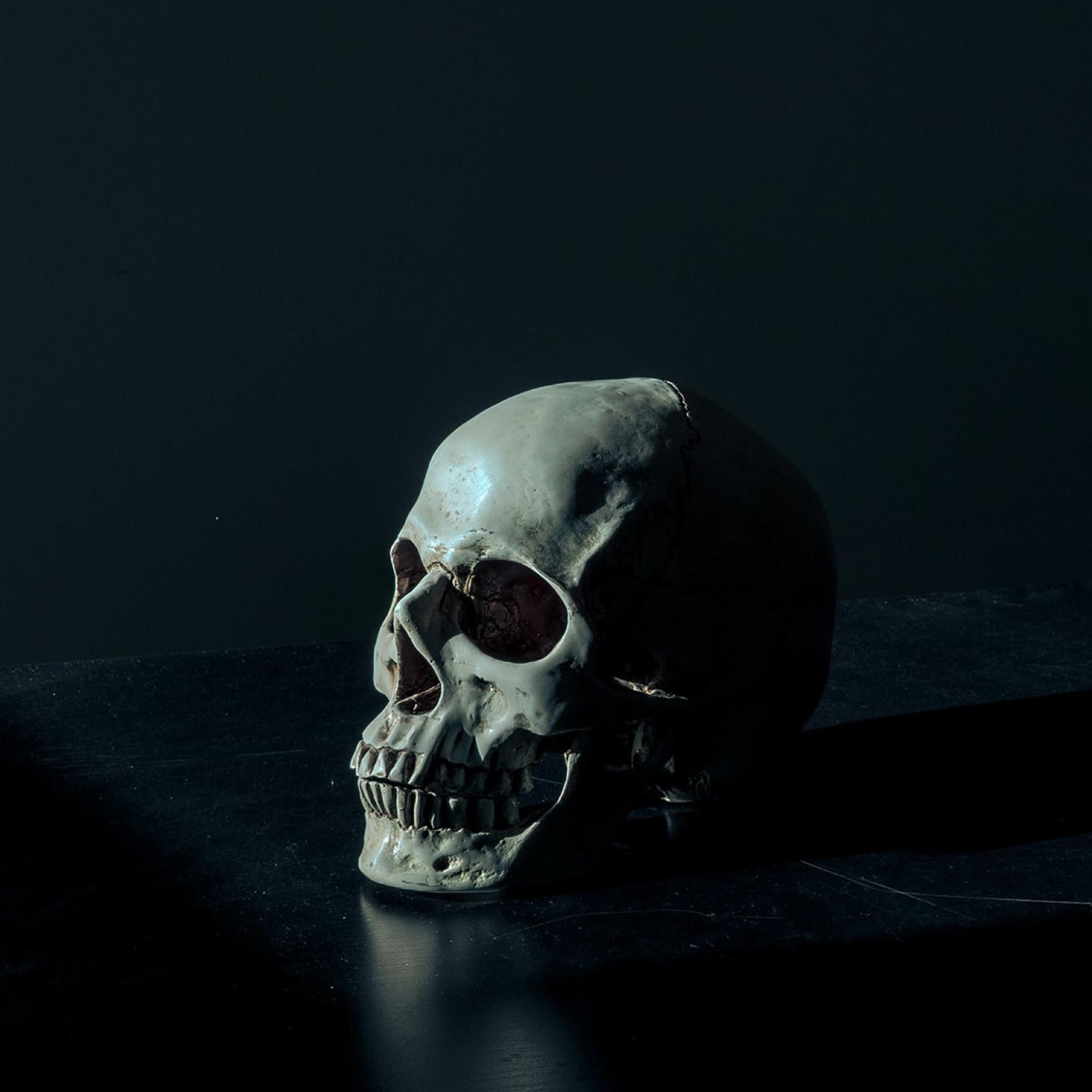 Krimi-Hörspiel: Ein gestohlener Dichterschädel - Hoffmanns Rache