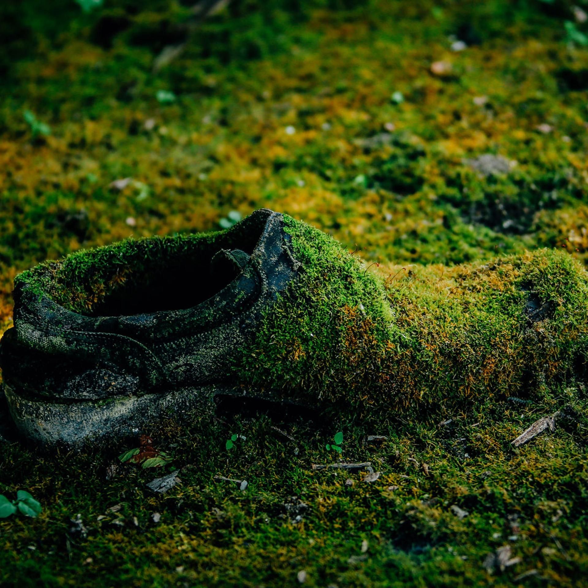 Krimi-Hörspiel: Ein Leichenfund nach 30 Jahren - Vernagelt