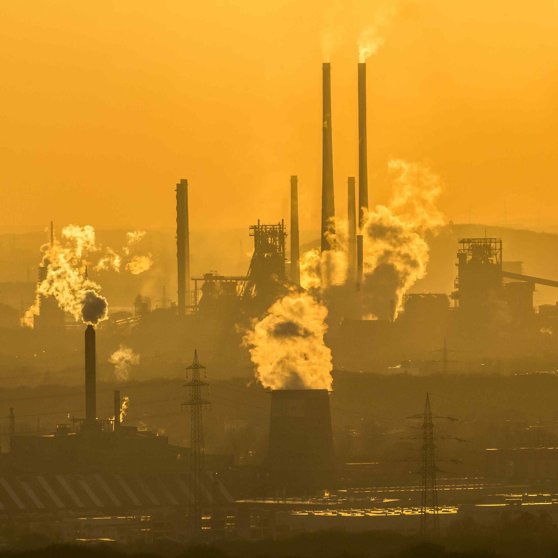 „Häuserkampf“ - Rebellion gegen Gentrifizierung