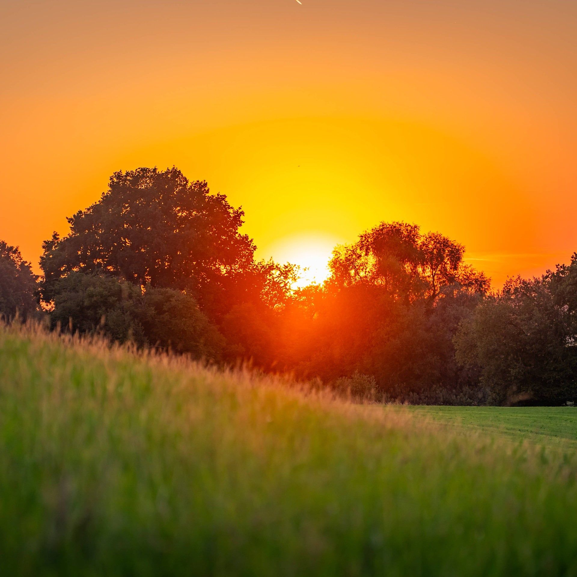 Krisen, Kriege, Klimawandel – Was Hoffnung bewirken kann