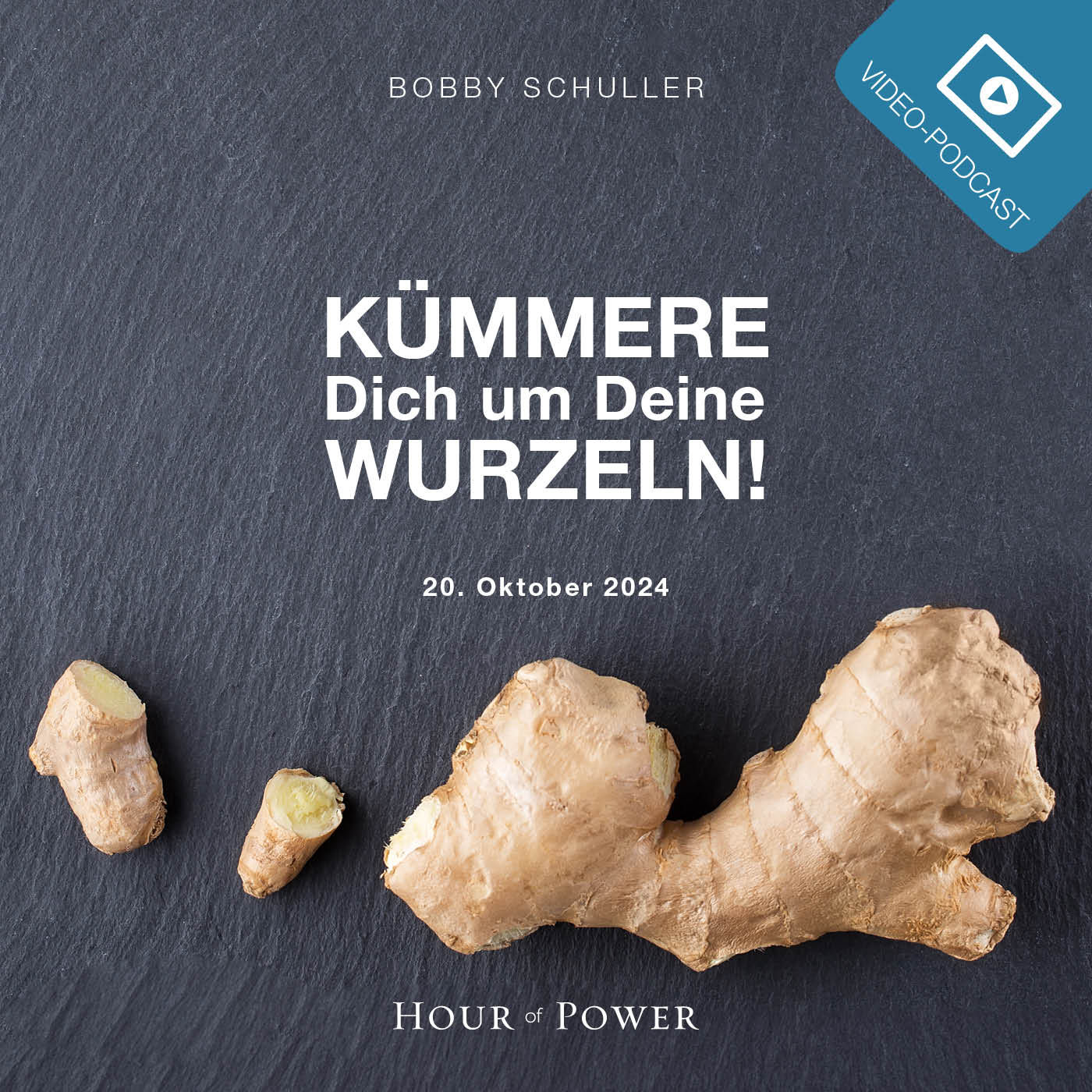Kümmere Dich um Deine Wurzeln! - Predigt von Bobby Schuller