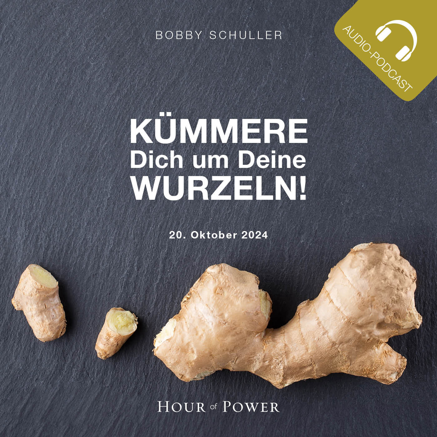 Kümmere Dich um Deine Wurzeln! - Predigt von Bobby Schuller