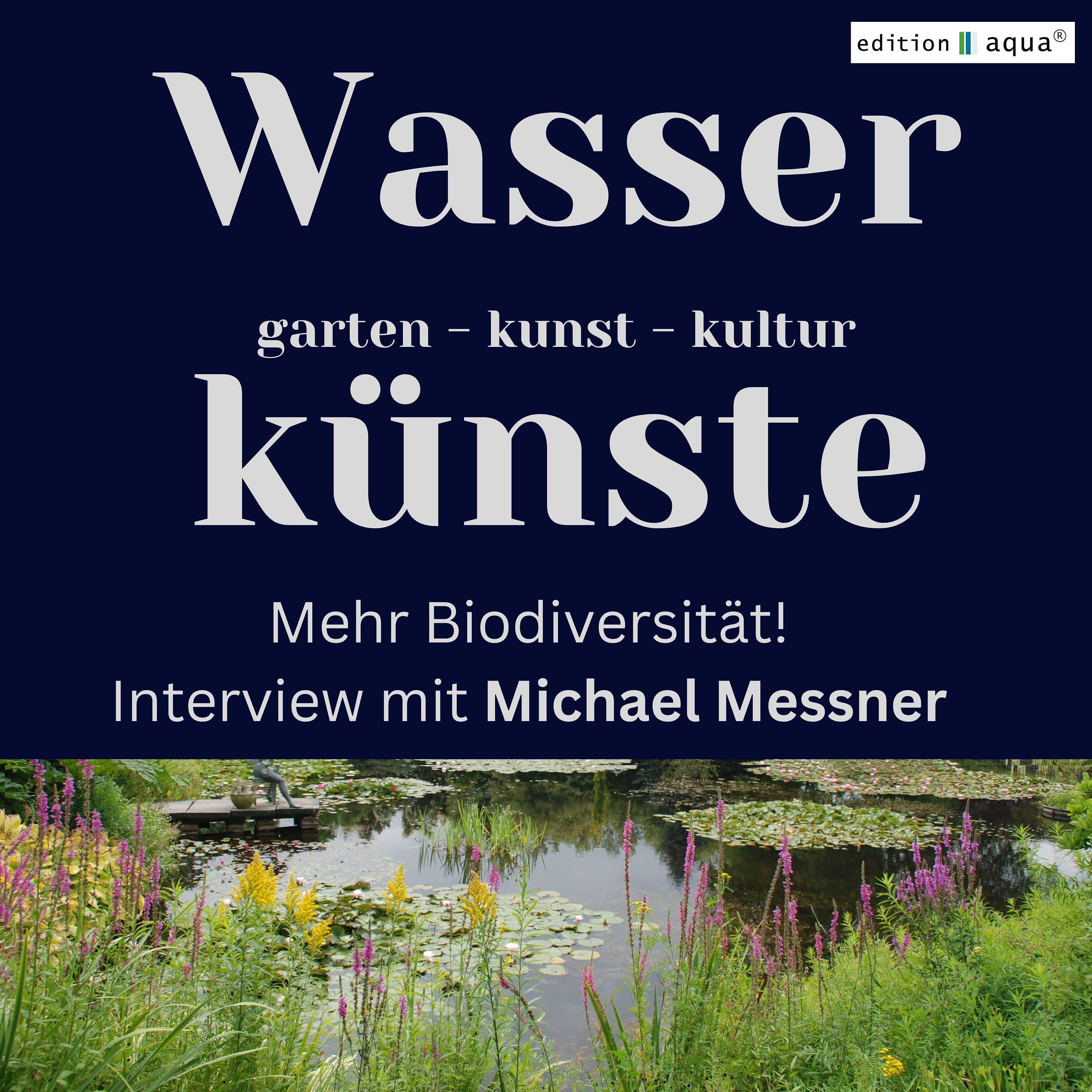 Künstlich = Artenarm? Mehr Biodiversität an künstlichen Gewässern