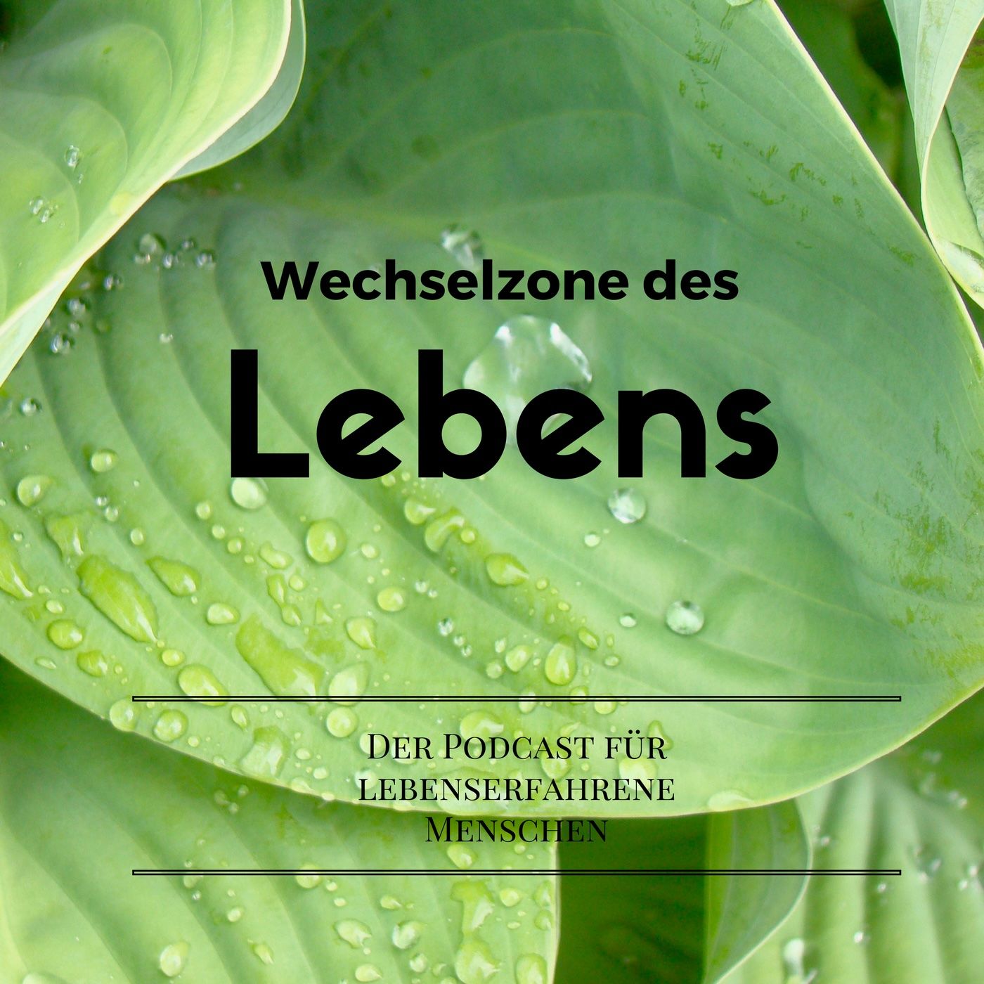 Künstliche Intelligenz