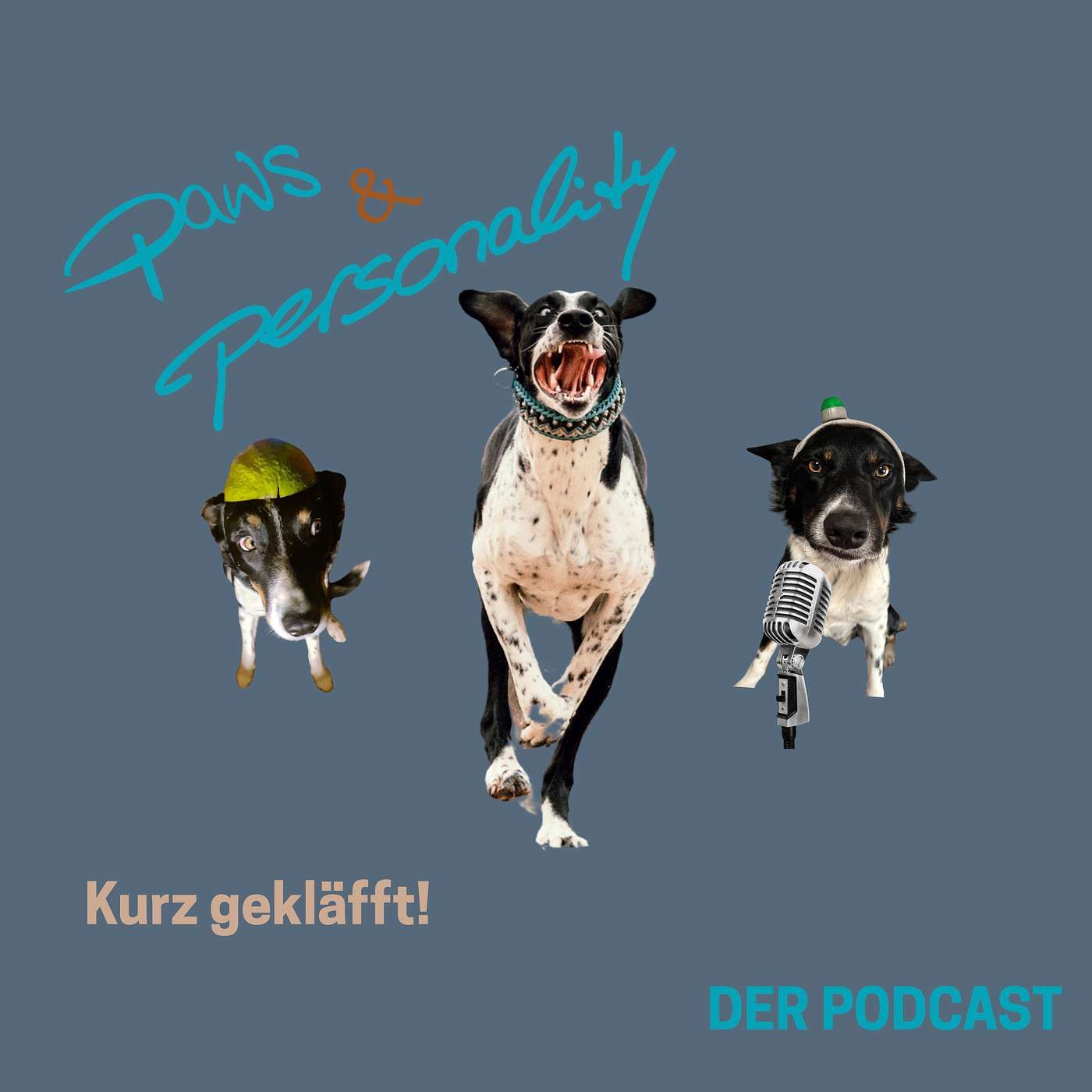 Kurz gekläfft - Social Walks nur für Pöbler?!