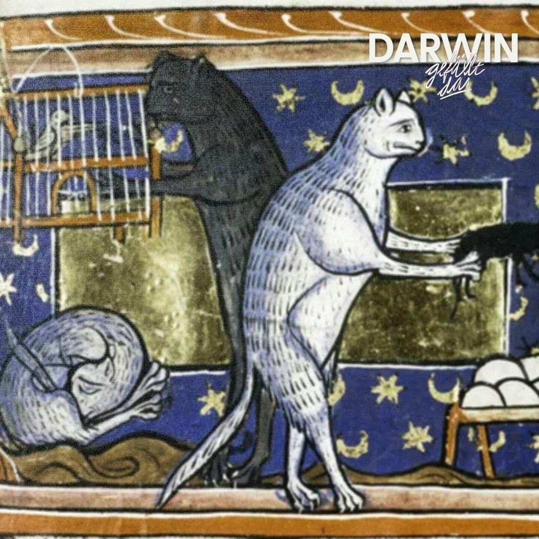 Kuss auf den Katzenpopo | Steady-Schätze